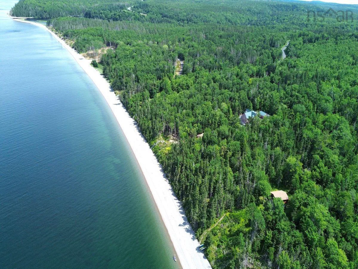 Nature Dream Boulevard, Roberta, NS B0E 3B0, ,Land,For Sale,Nature Dream Boulevard,202518494