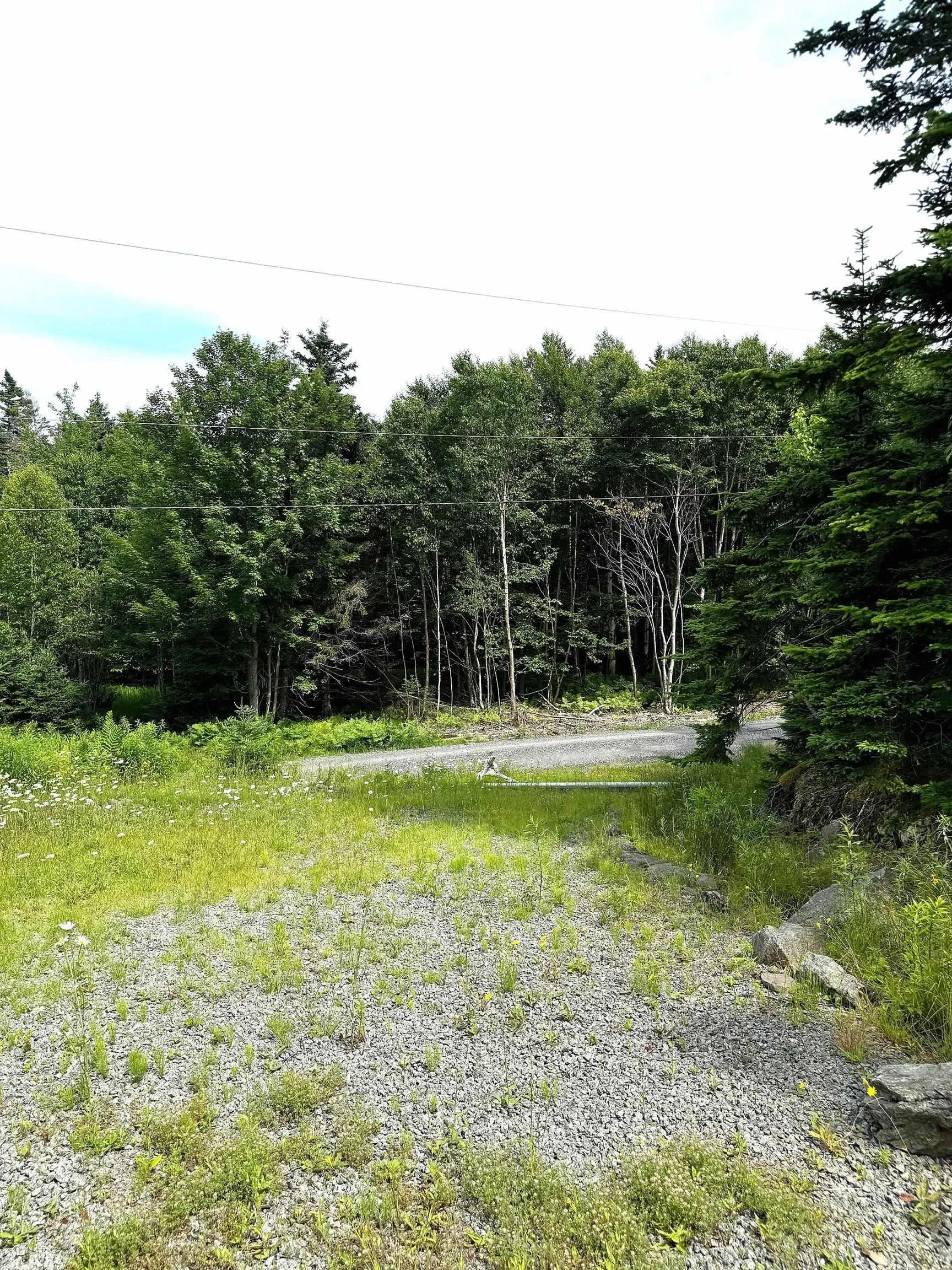 Nature Dream Boulevard, Roberta, NS B0E 3B0, ,Land,For Sale,Nature Dream Boulevard,202518494