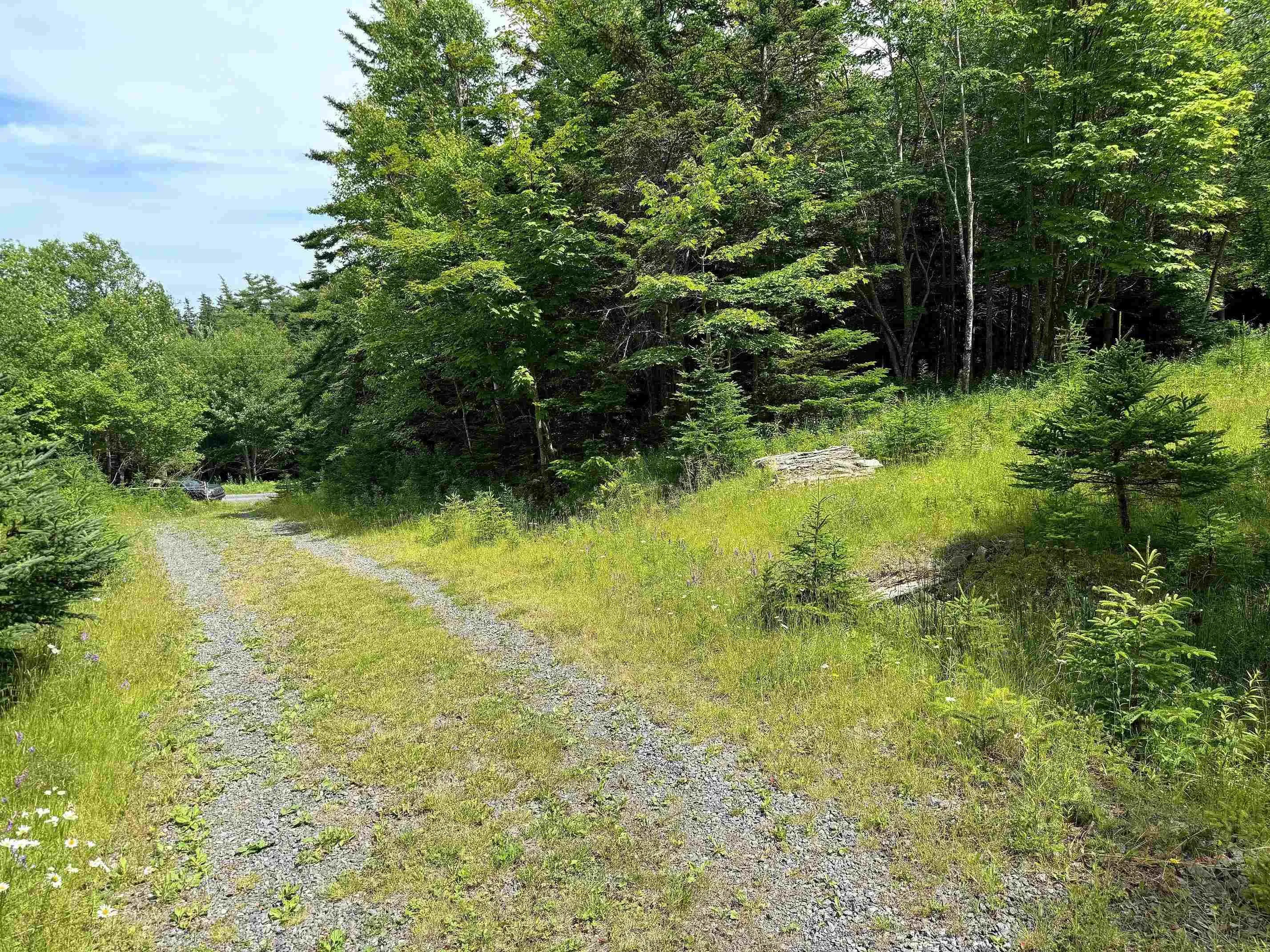 Nature Dream Boulevard, Roberta, NS B0E 3B0, ,Land,For Sale,Nature Dream Boulevard,202518494