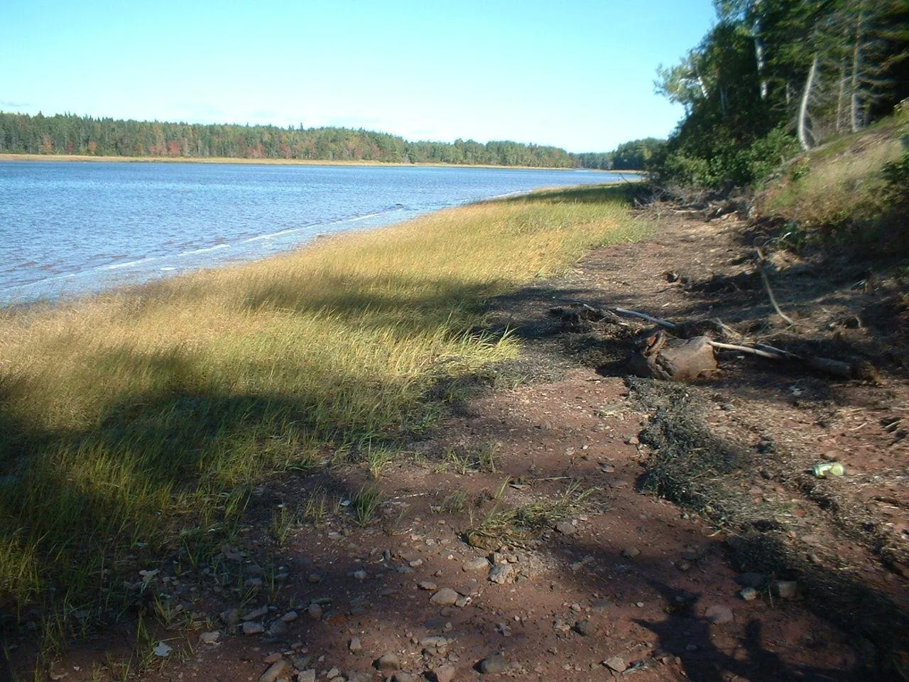 660-pugwash Riveer Road, Pugwash River, NS B0K 1L0, 2 Bedrooms Bedrooms, ,Residential,For Sale,Road,202518735