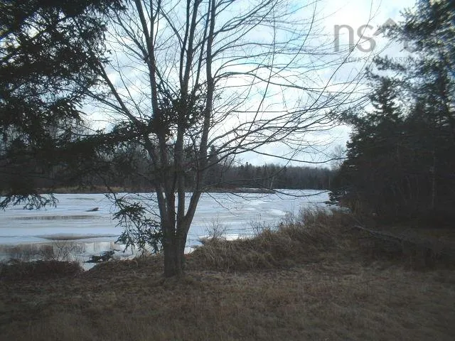 660-pugwash Riveer Road, Pugwash River, NS B0K 1L0, 2 Bedrooms Bedrooms, ,Residential,For Sale,Road,202518735