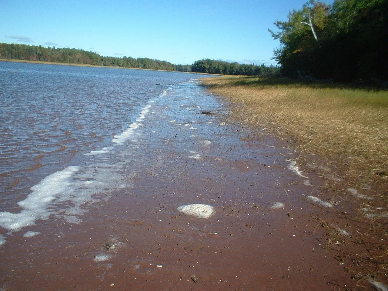 660-pugwash Riveer Road, Pugwash River, NS B0K 1L0, 2 Bedrooms Bedrooms, ,Residential,For Sale,Road,202518735