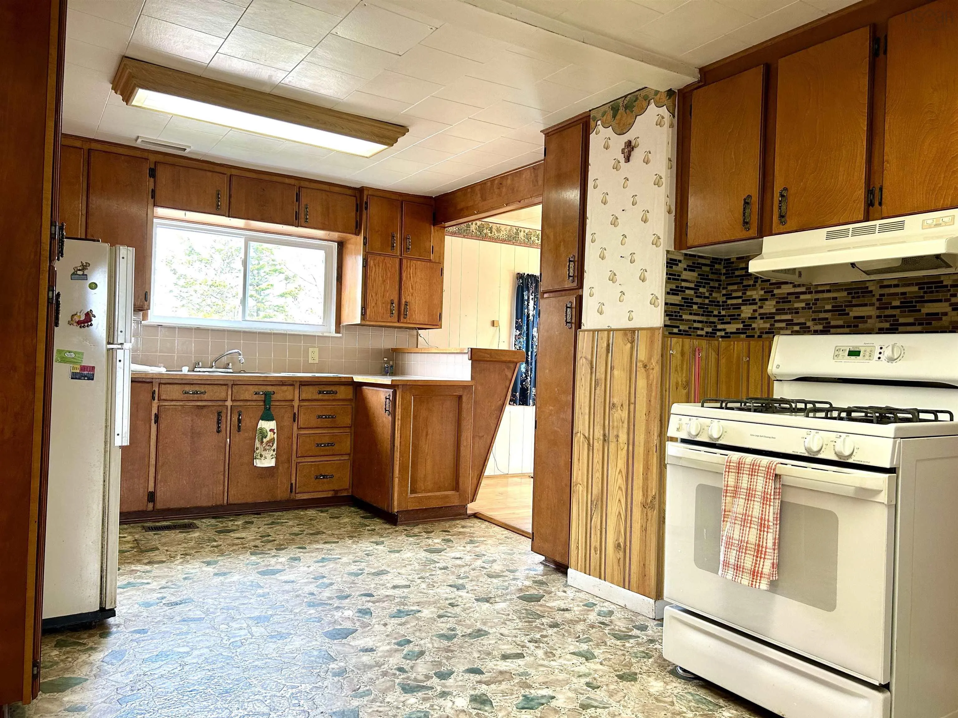773 Lower Cove Road, Lower Cove, NS B0L 1A0, 4 Bedrooms Bedrooms, ,2 BathroomsBathrooms,Residential,For Sale,Lower Cove,202511011