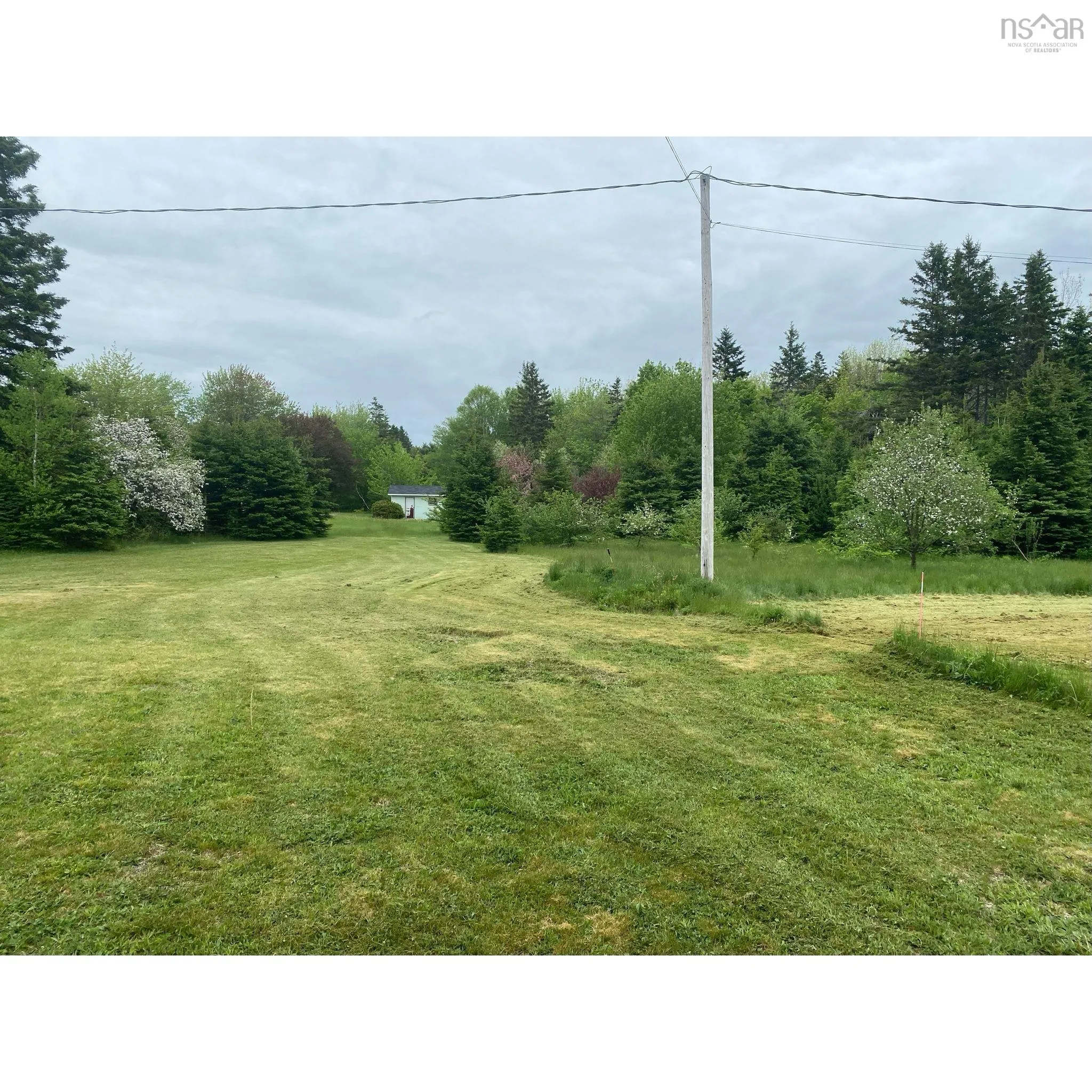 6858 Highway 105, River Denys Ns B0e 2y0, ,Commercial Sale,For Sale,Highway 105,202506979