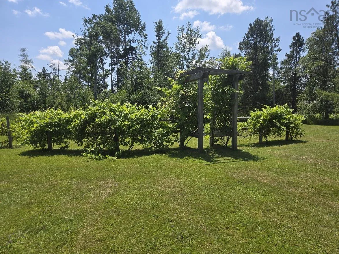 510 Sand Point Road, Barrachois, NS B0K 1V0, 3 Bedrooms Bedrooms, ,2 BathroomsBathrooms,Residential,For Sale,Sand Point,202520579