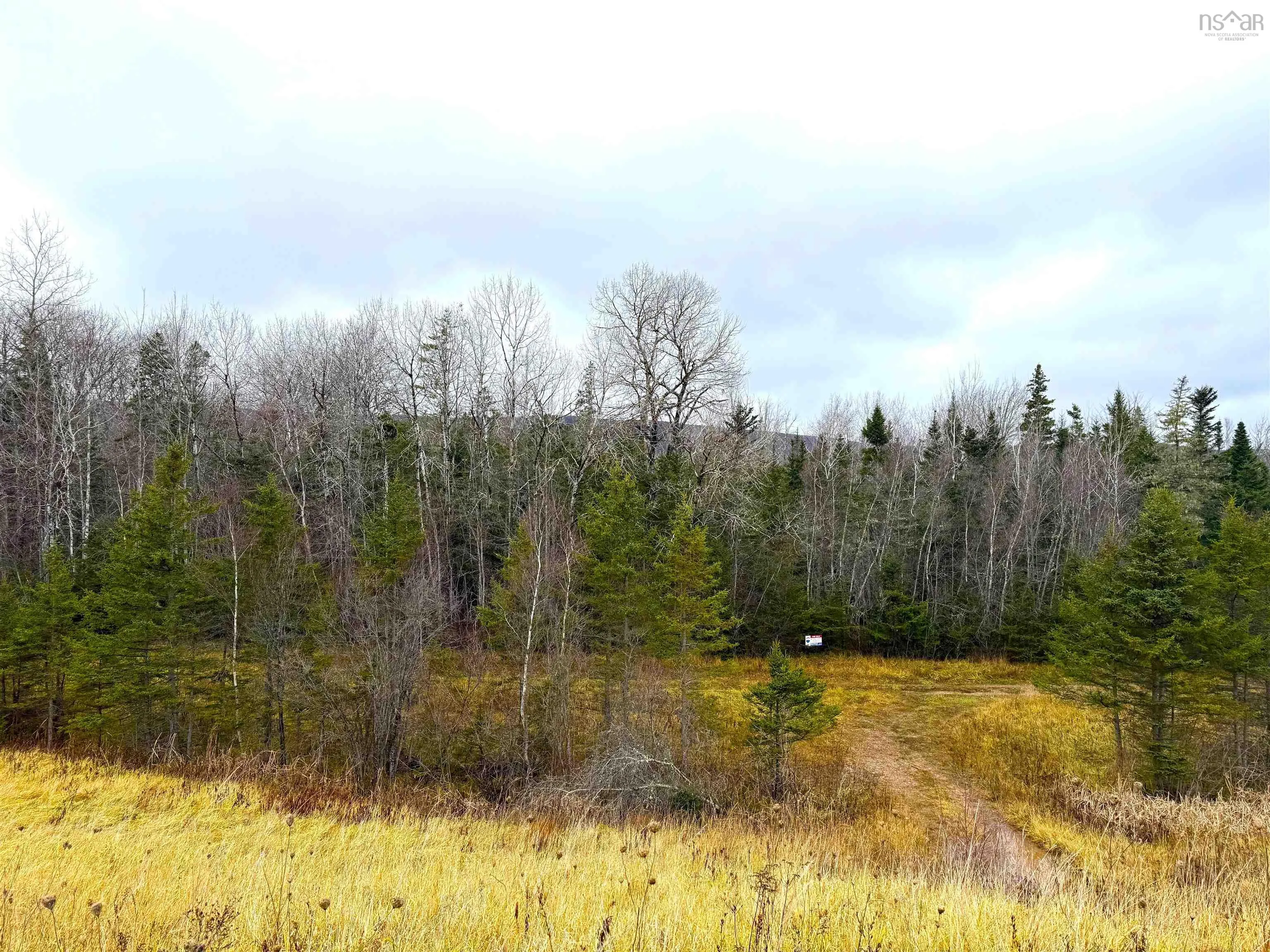 Lot 1 101 Highway, Bridgetown East, NS B0S 1C0, ,Land,For Sale,101,202513271