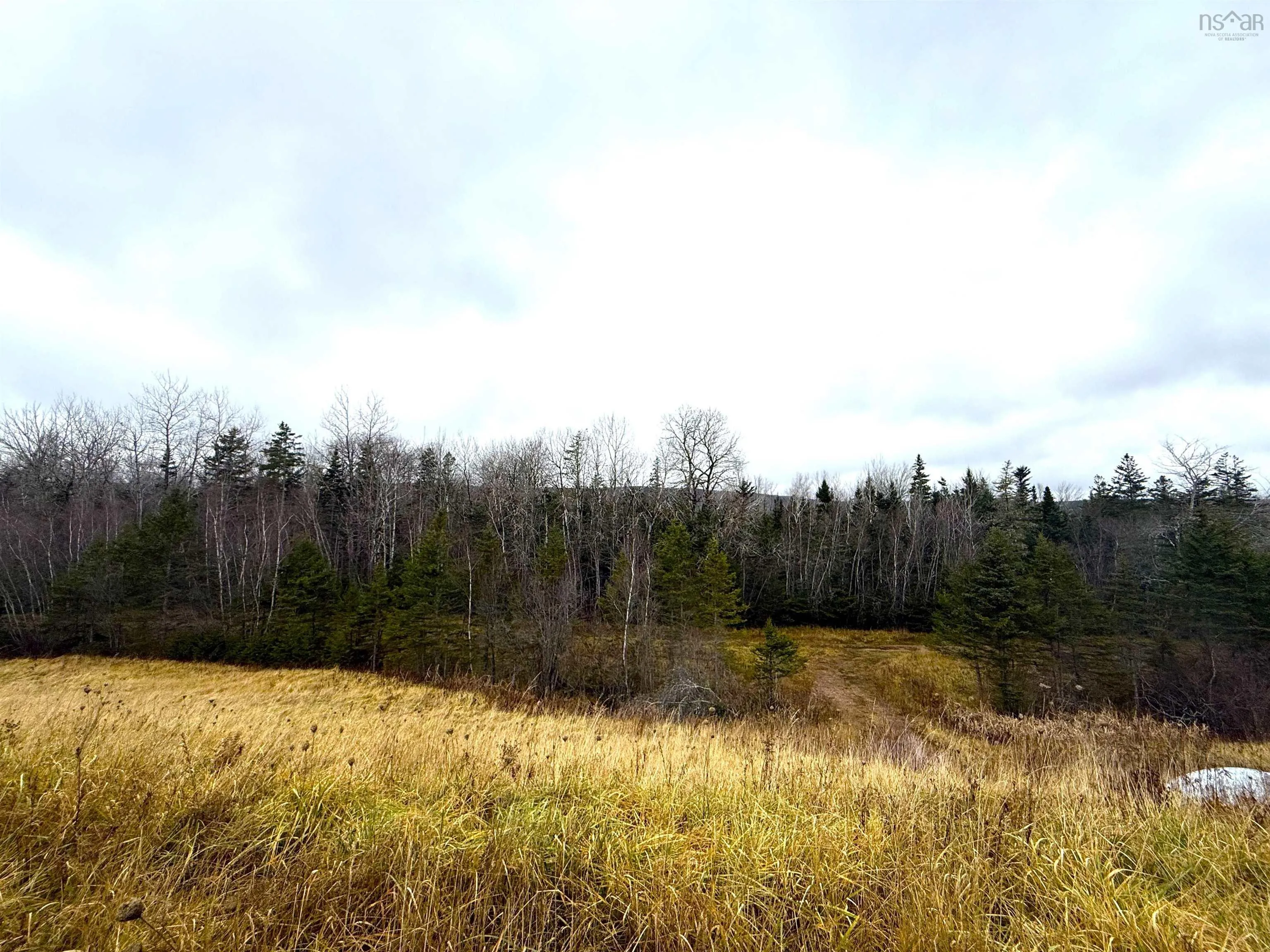 Lot 1 101 Highway, Bridgetown East, NS B0S 1C0, ,Land,For Sale,101,202513271