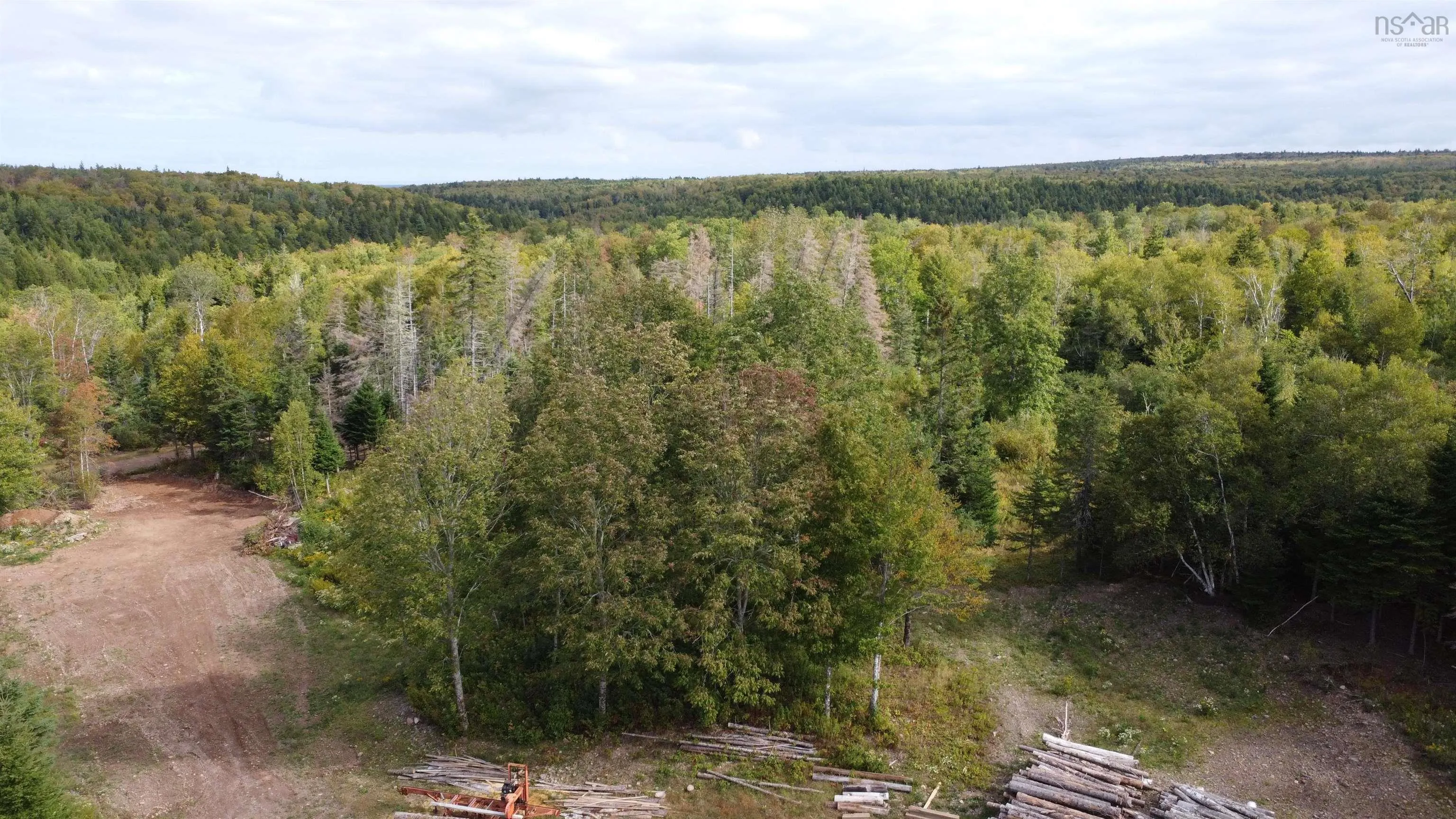 Lot A Kavanaugh Mill Road, Kavanaugh Mills, NS B0K 1V0, ,Land,For Sale,Kavanaugh Mill,202523262