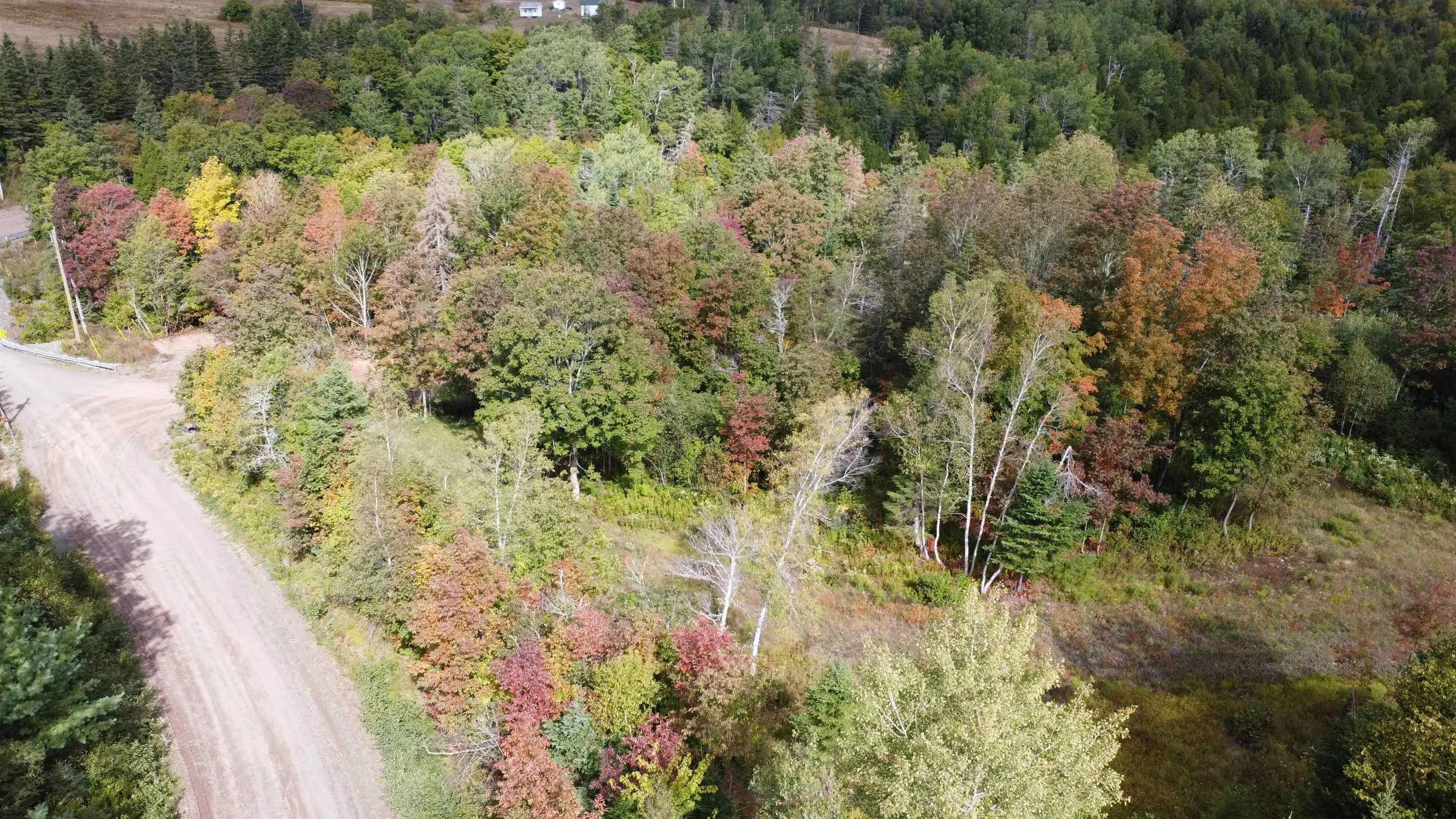 Lot A Kavanaugh Mill Road, Kavanaugh Mills, NS B0K 1V0, ,Land,For Sale,Kavanaugh Mill,202523262