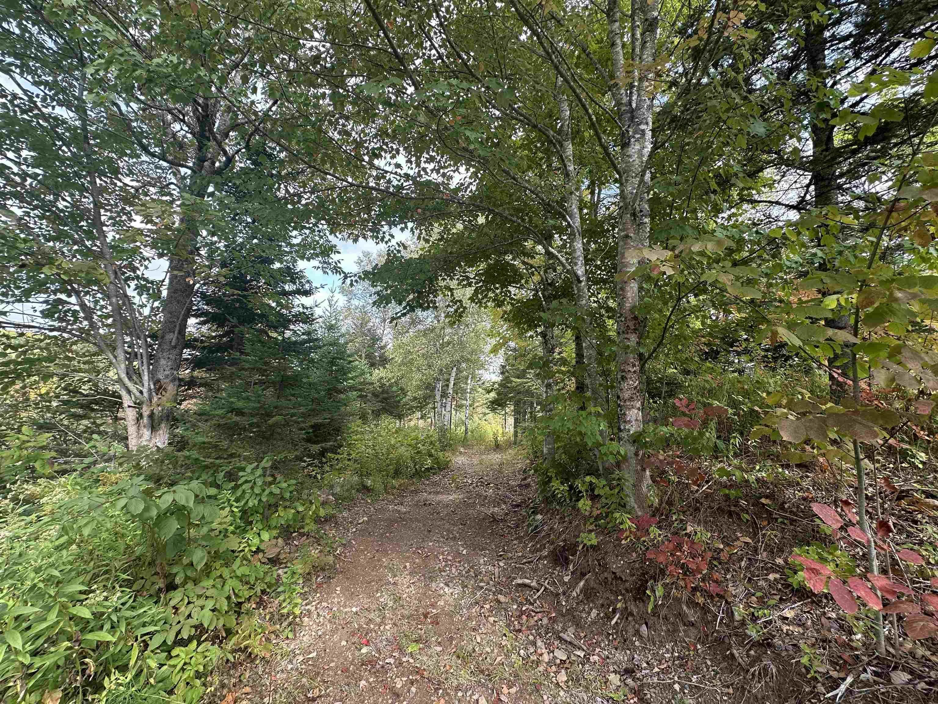Lot A Kavanaugh Mill Road, Kavanaugh Mills, NS B0K 1V0, ,Land,For Sale,Kavanaugh Mill,202523262