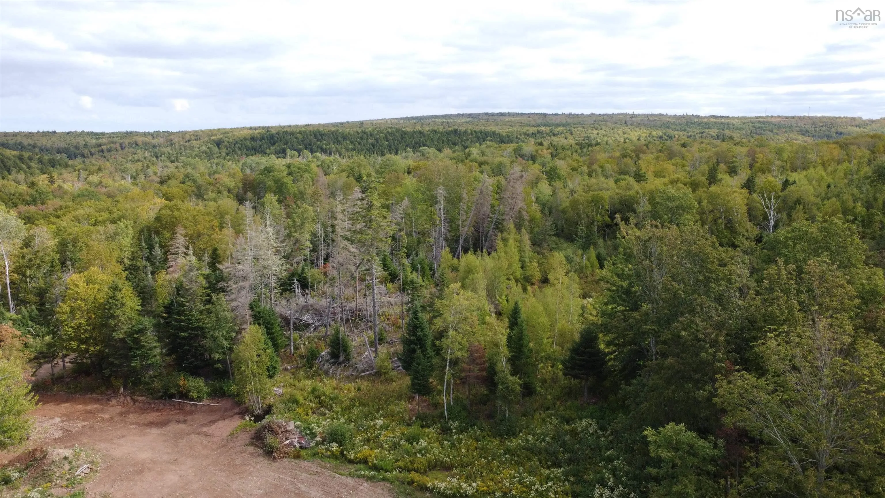 Lot A Kavanaugh Mill Road, Kavanaugh Mills, NS B0K 1V0, ,Land,For Sale,Kavanaugh Mill,202523262