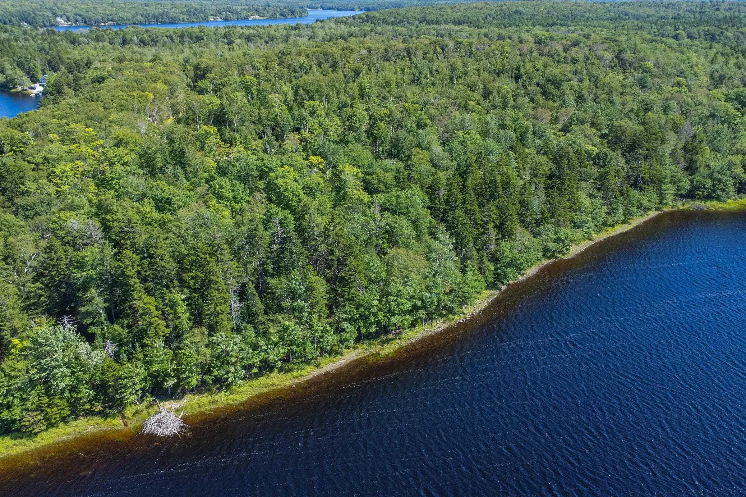 Lake Fanning Road Lot 2, Carleton Ns B5a 5r2, ,Land,For Sale,Lake Fanning,202419775