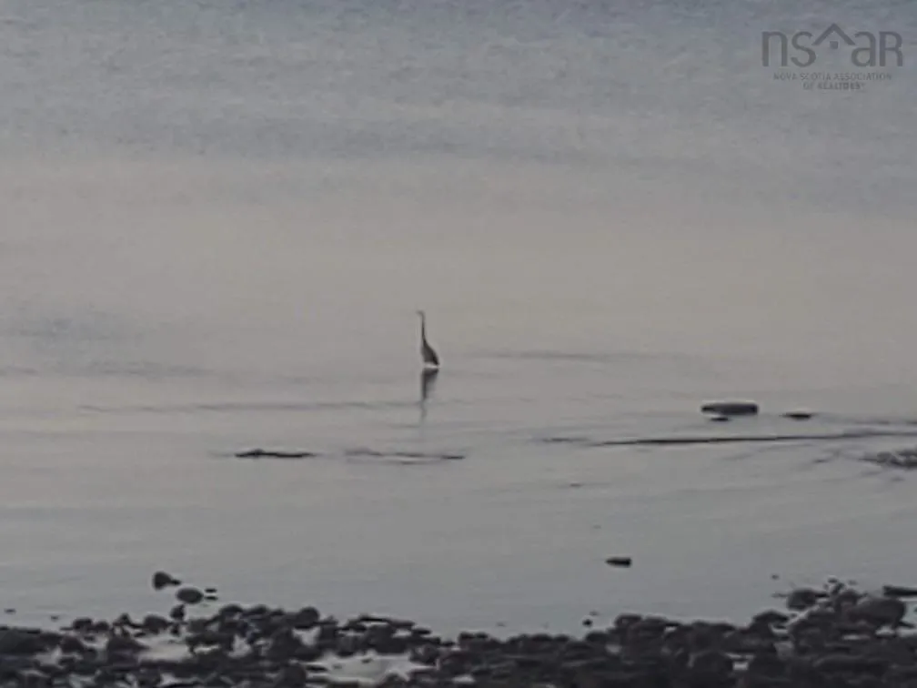 Shore Road, Waterside Ns B0k 1h0, ,Land,For Sale,Shore,202413840