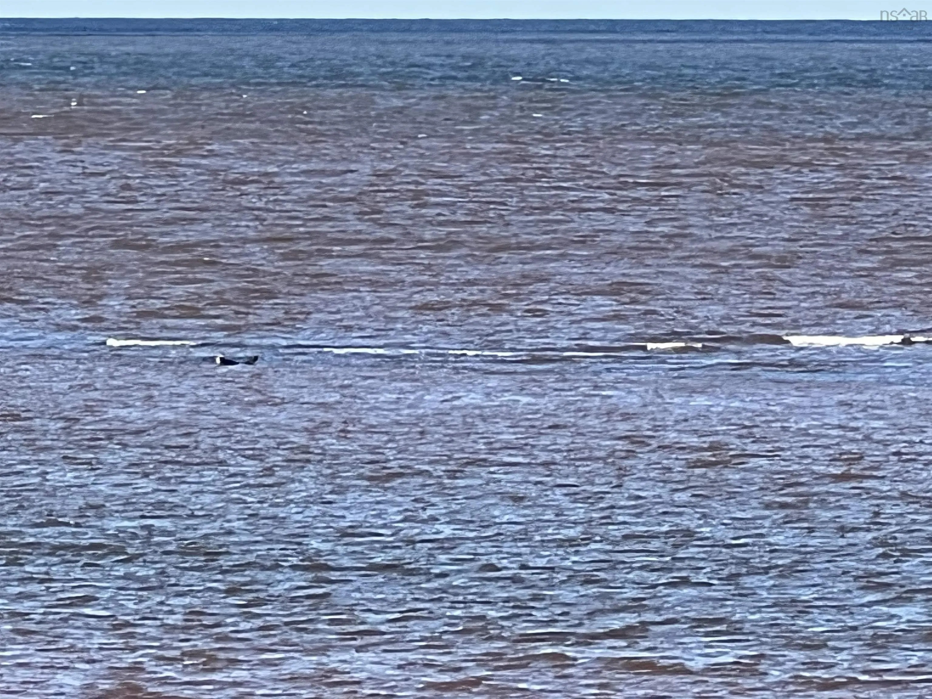 Shore Road, Waterside Ns B0k 1h0, ,Land,For Sale,Shore,202413840