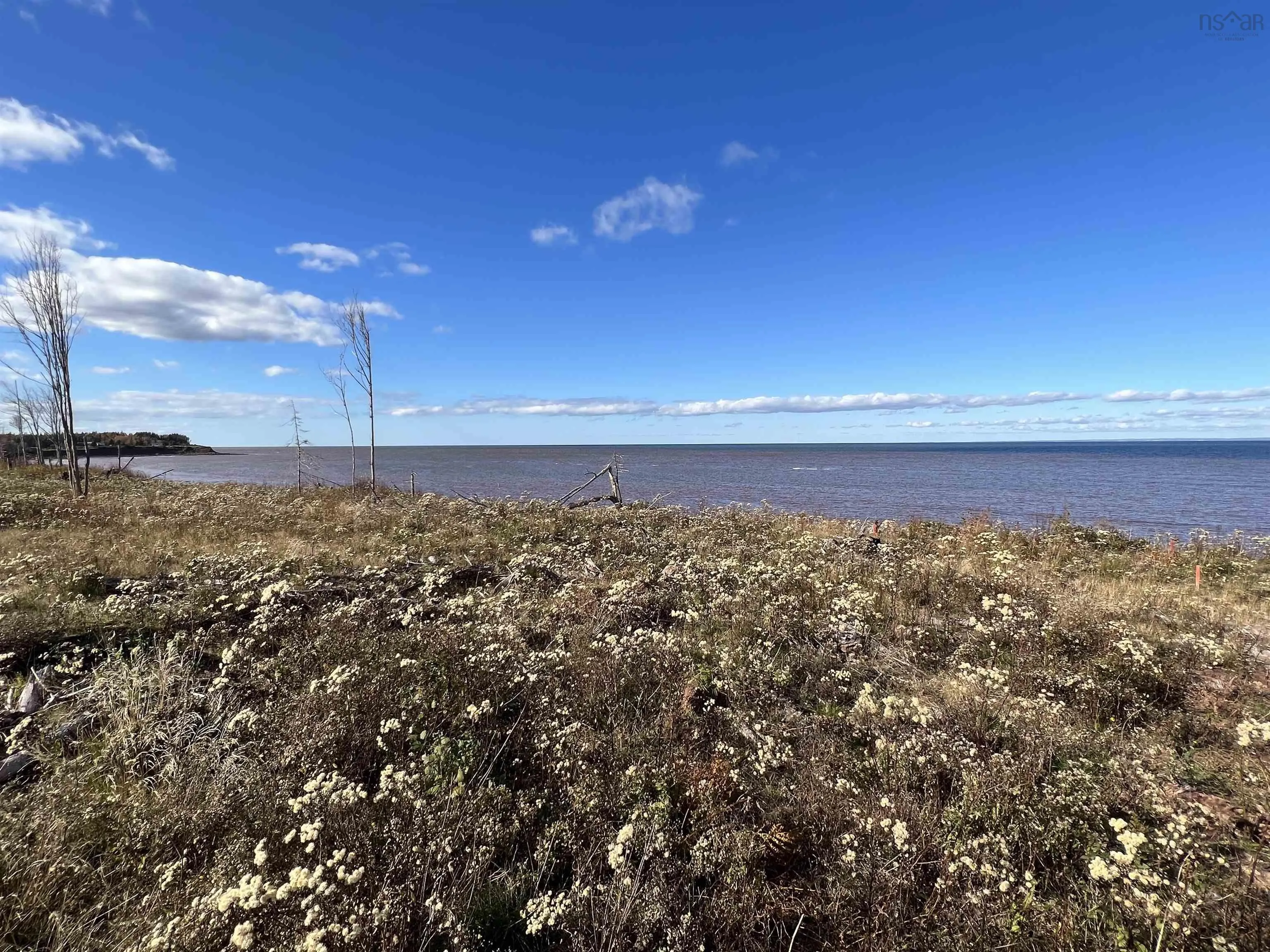 Shore Road, Waterside Ns B0k 1h0, ,Land,For Sale,Shore,202413840