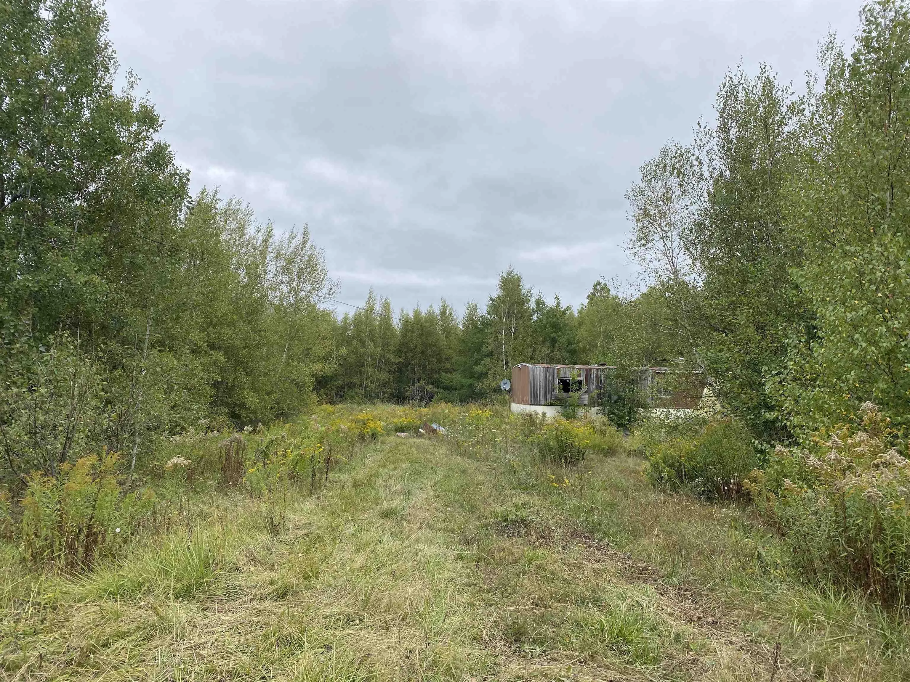 2028 Lake Road, Tatamagouche, NS B6L 1G5, ,Land,For Sale,Lake,202523293