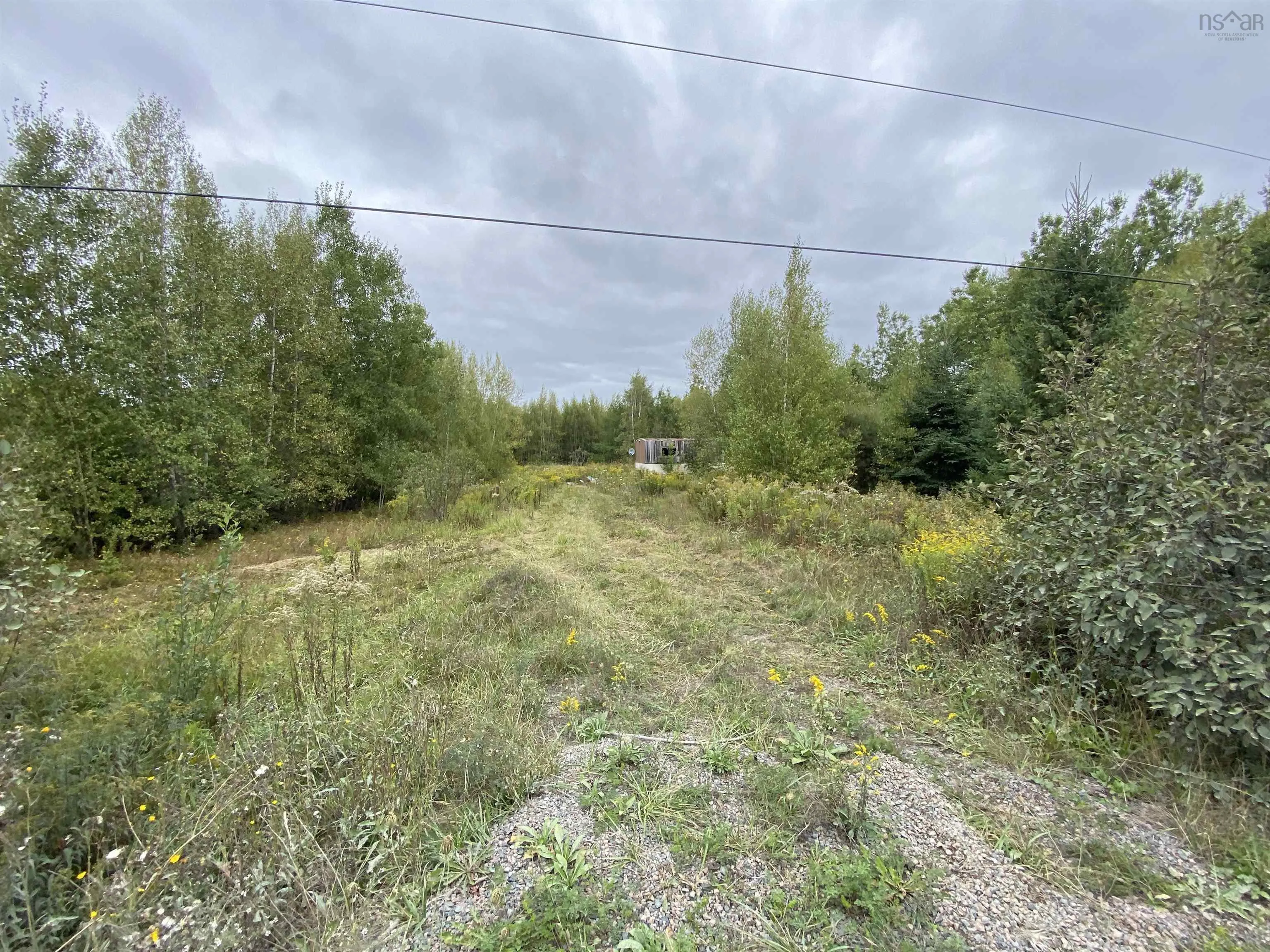 2028 Lake Road, Tatamagouche, NS B6L 1G5, ,Land,For Sale,Lake,202523293
