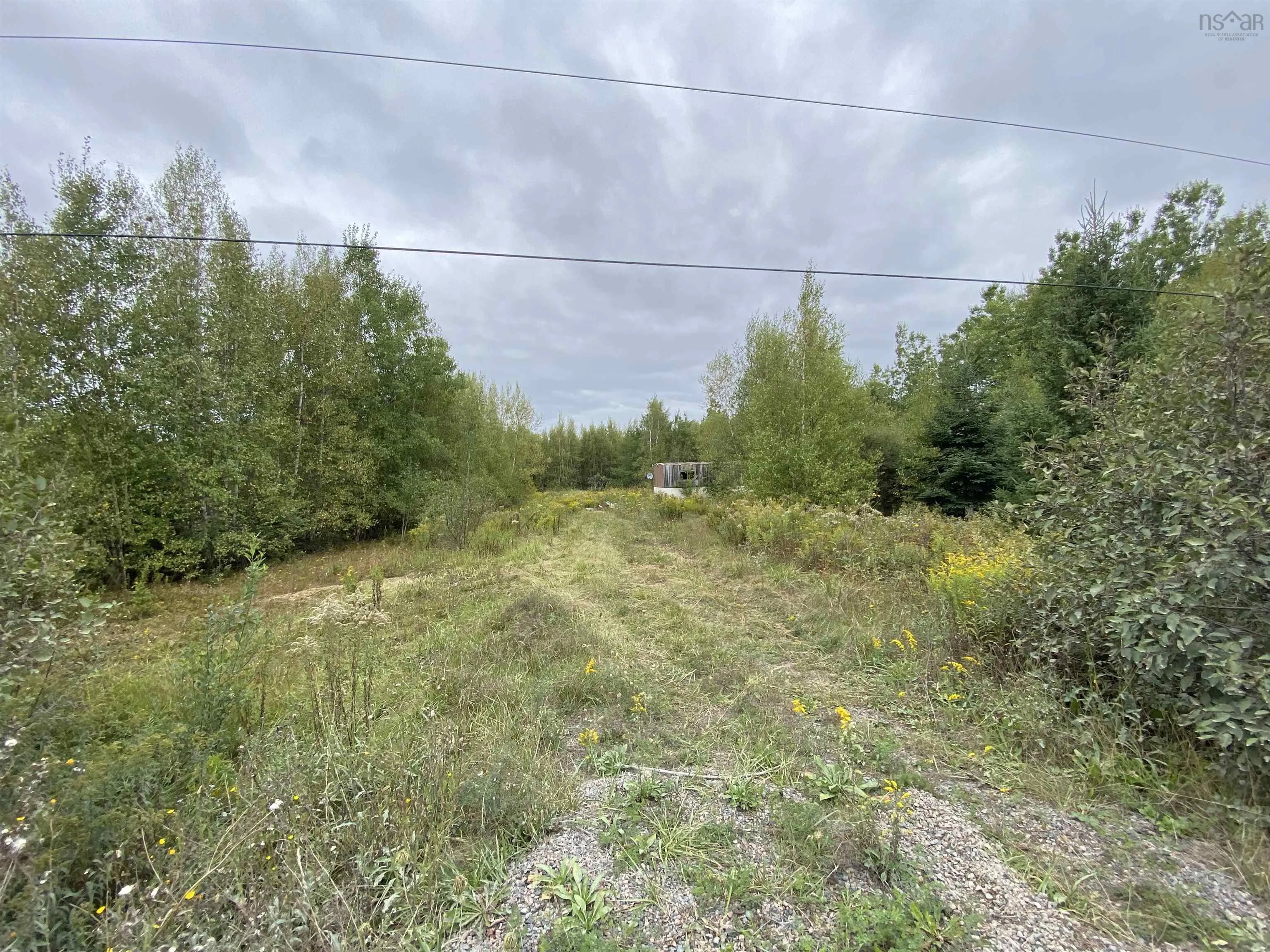 2028 Lake Road, Tatamagouche, NS B6L 1G5, ,Land,For Sale,Lake,202523293