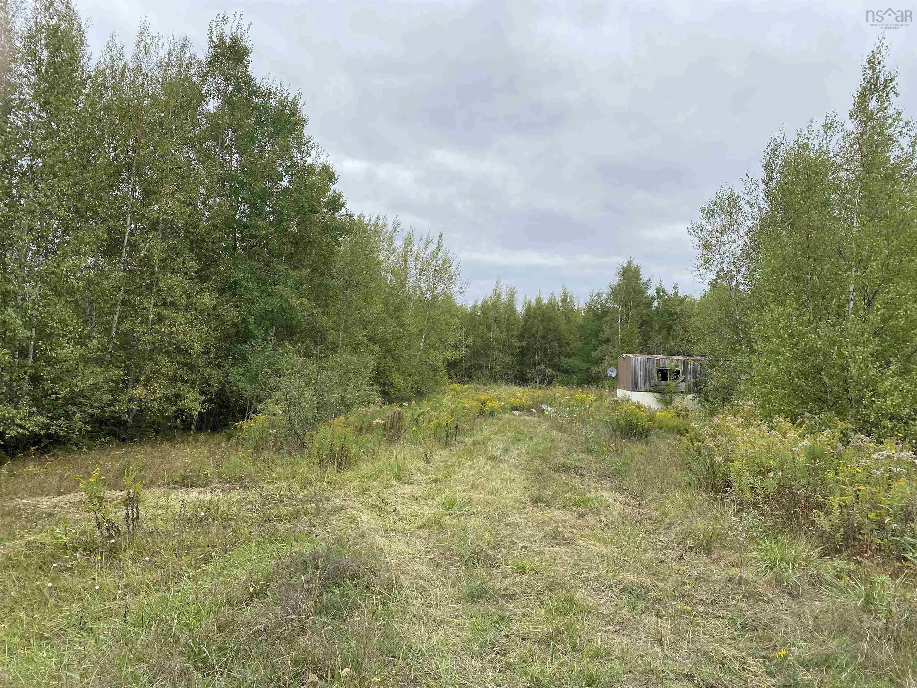 2028 Lake Road, Tatamagouche, NS B6L 1G5, ,Land,For Sale,Lake,202523293