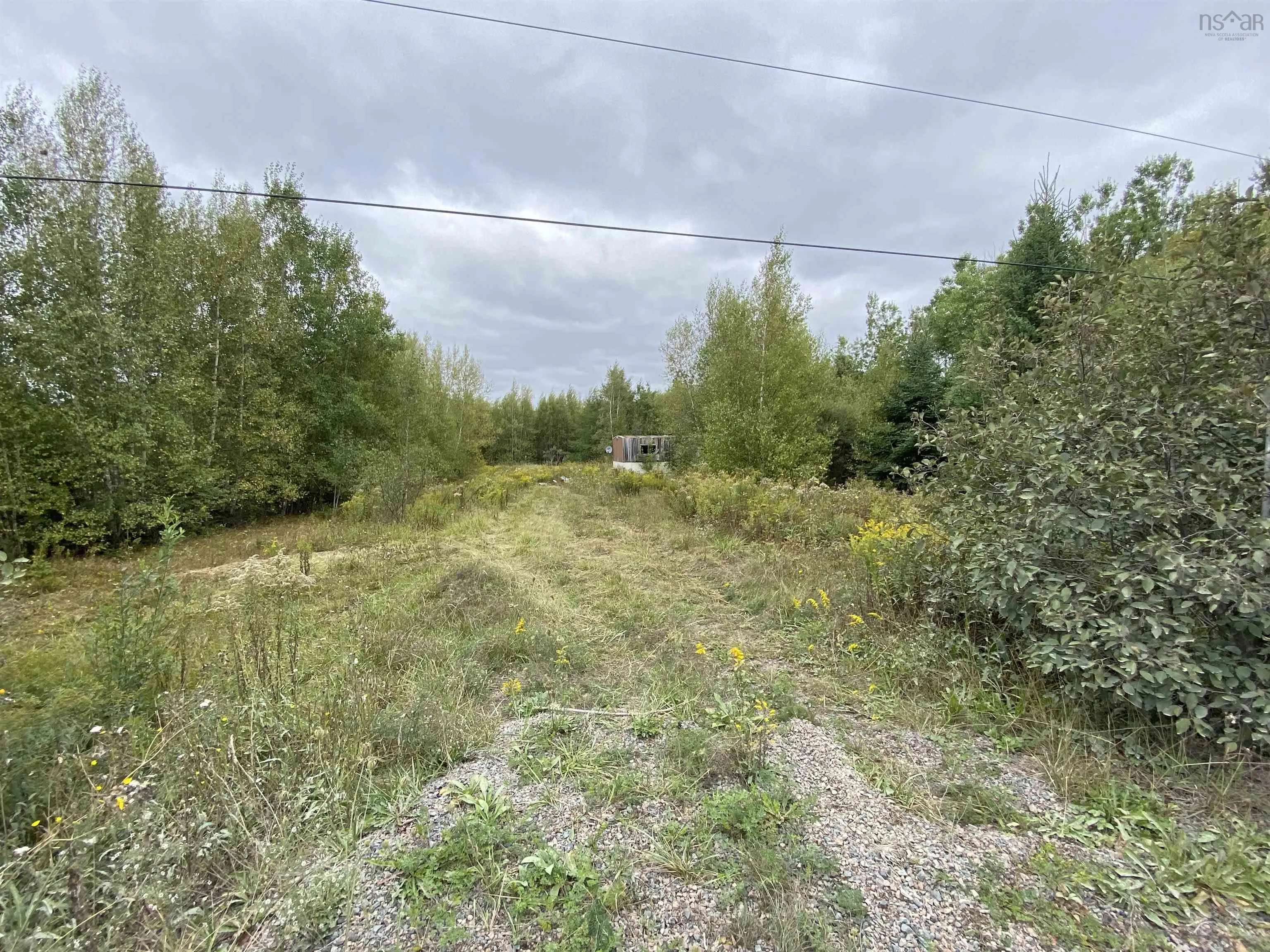 2028 Lake Road, Tatamagouche, NS B6L 1G5, ,Land,For Sale,Lake,202523293