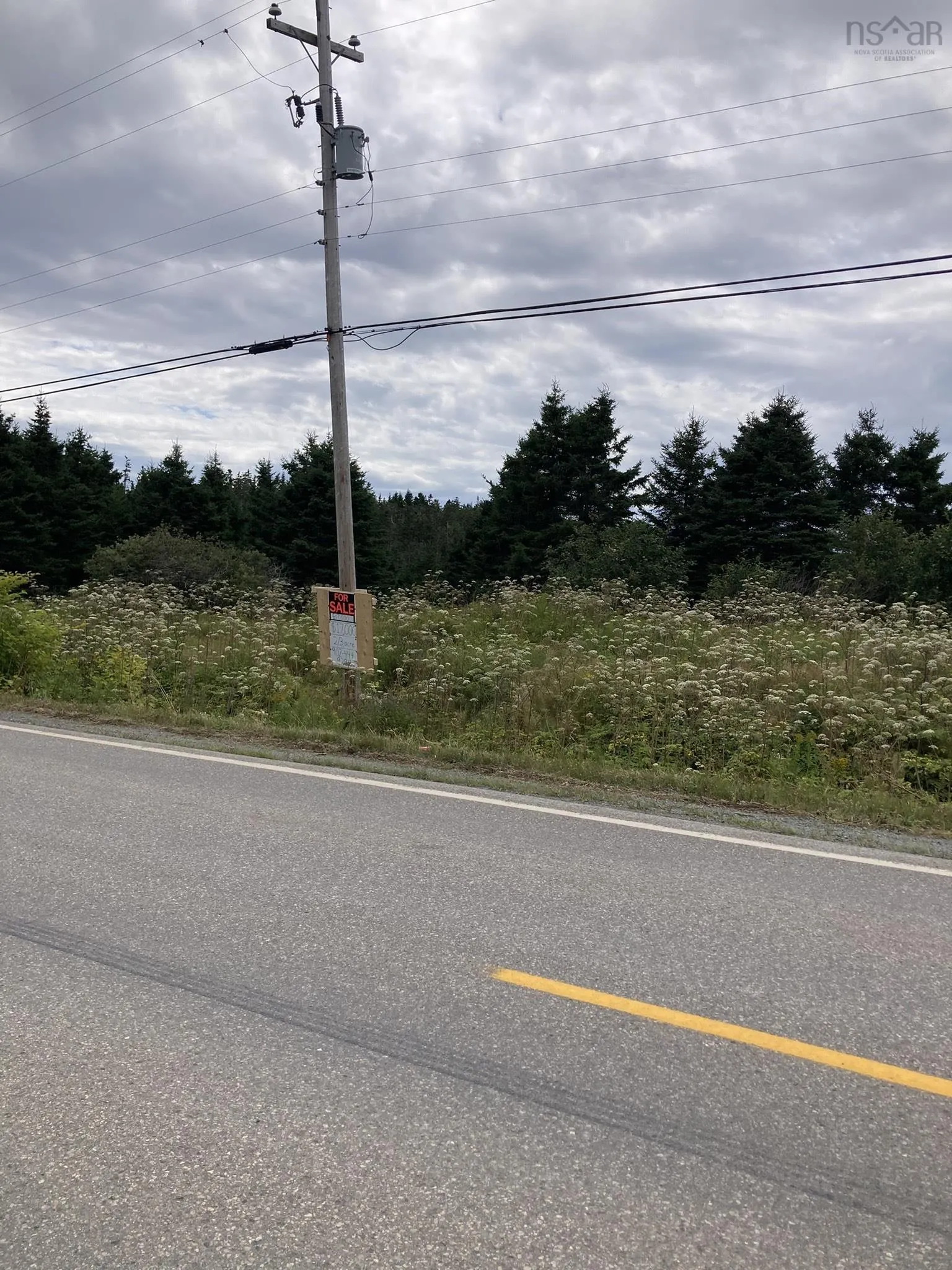 Highway 247, Lower Lardoise, NS B0E 1S0, ,Land,For Sale,Highway 247,202518649