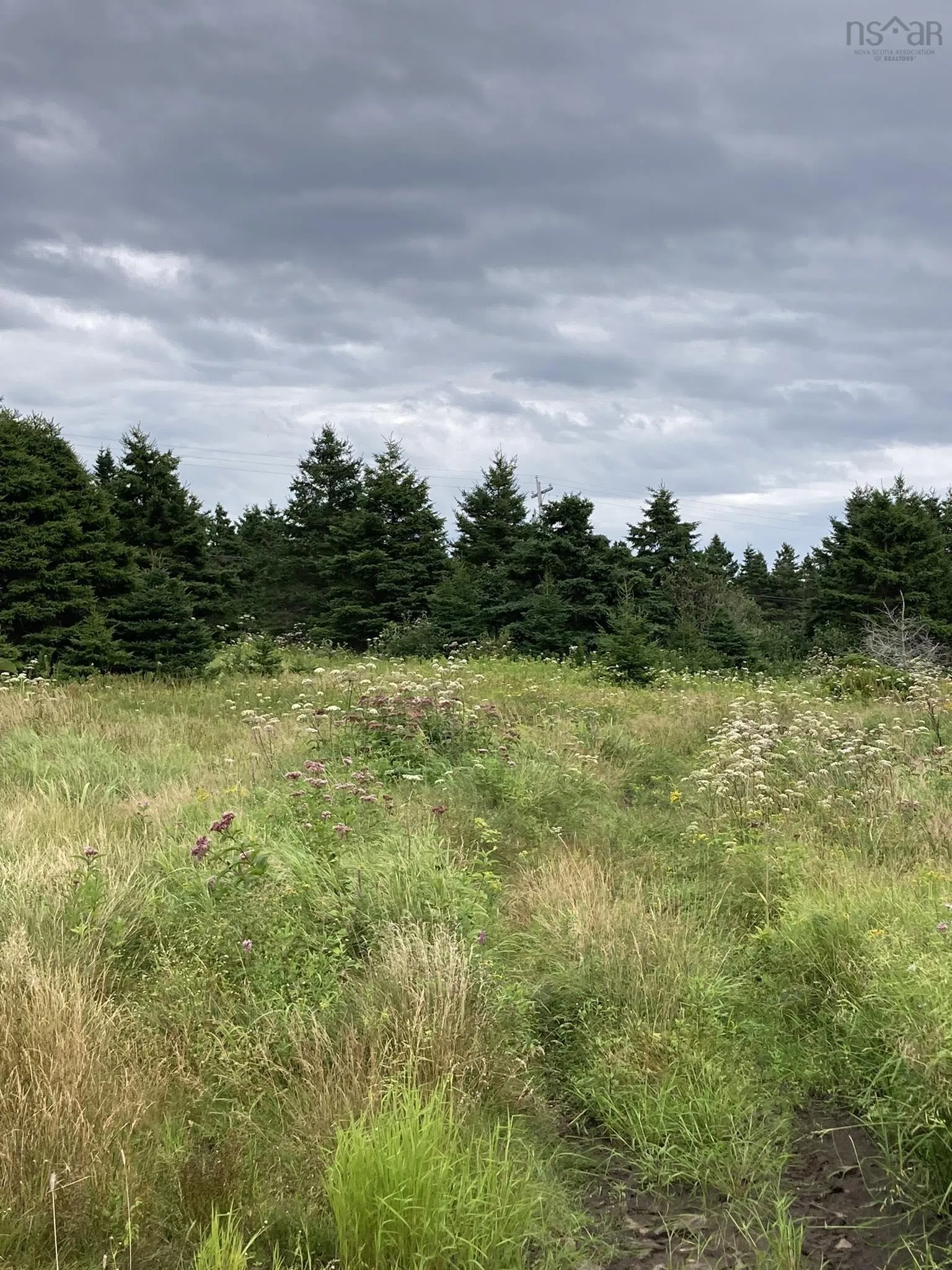 Highway 247, Lower Lardoise, NS B0E 1S0, ,Land,For Sale,Highway 247,202518649