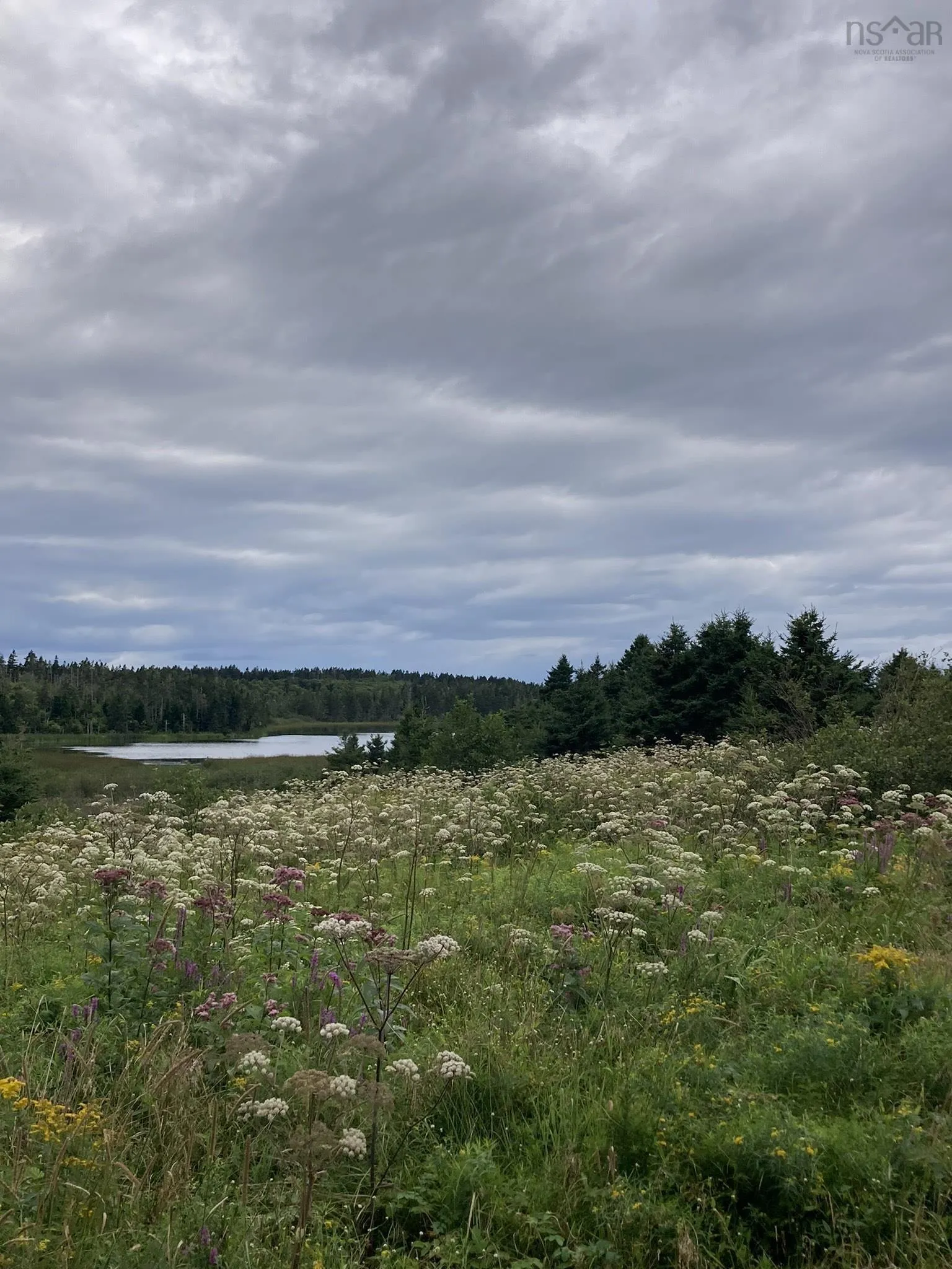Highway 247, Lower Lardoise, NS B0E 1S0, ,Land,For Sale,Highway 247,202518649