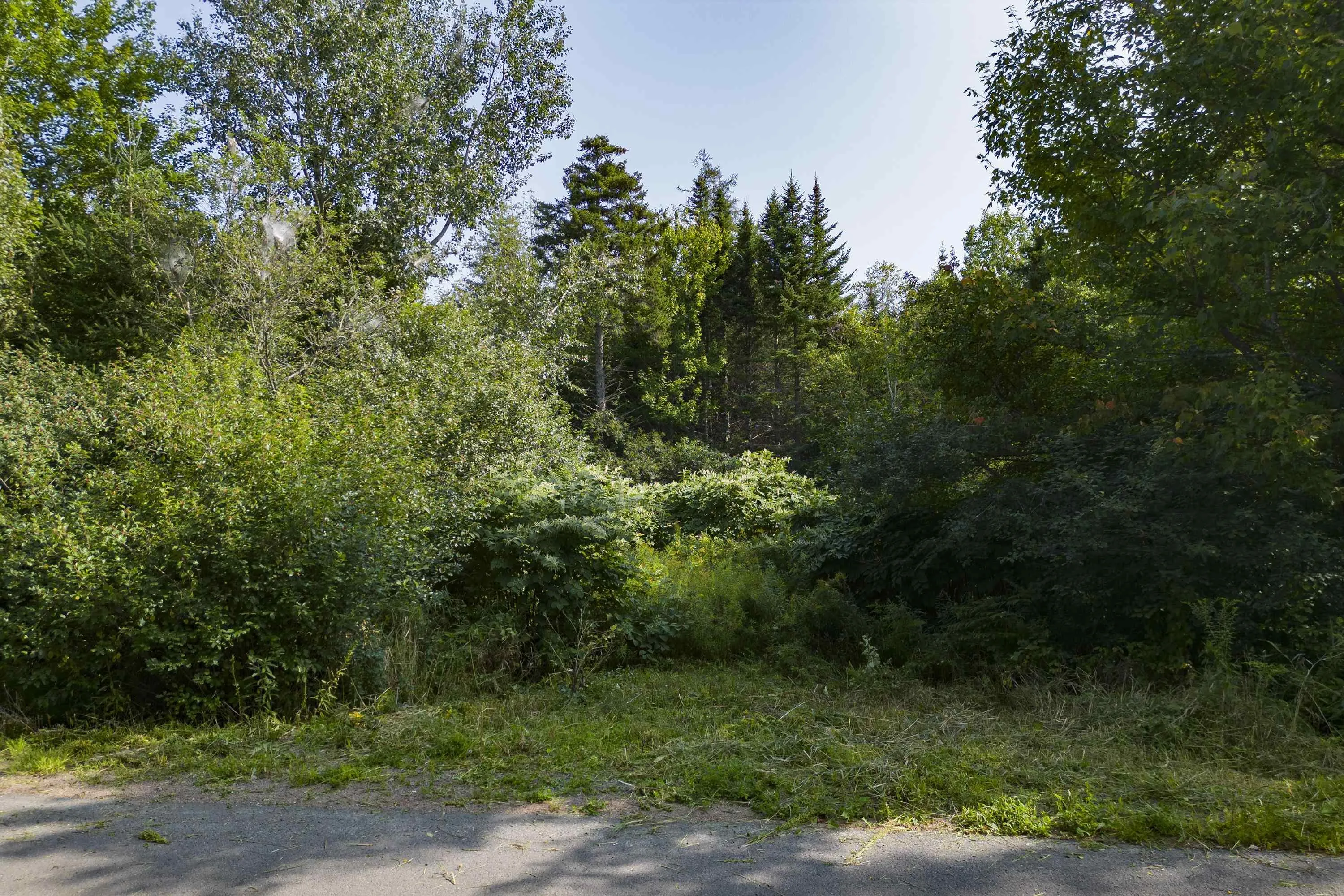 642 Mines Road, Chignecto Ns B0l 1b0, ,Land,For Sale,Mines,202400304