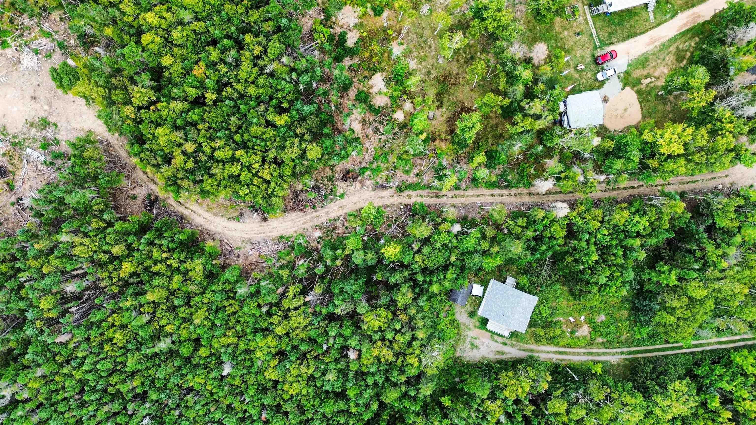 0 Hornes Road, Mira Gut, NS B1K 2Y4, ,Land,For Sale,Hornes,202522007