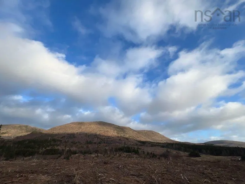 Carding Mill Road, Grand Étang Ns B0e 1l0, ,Land,For Sale,Carding Mill,202407246