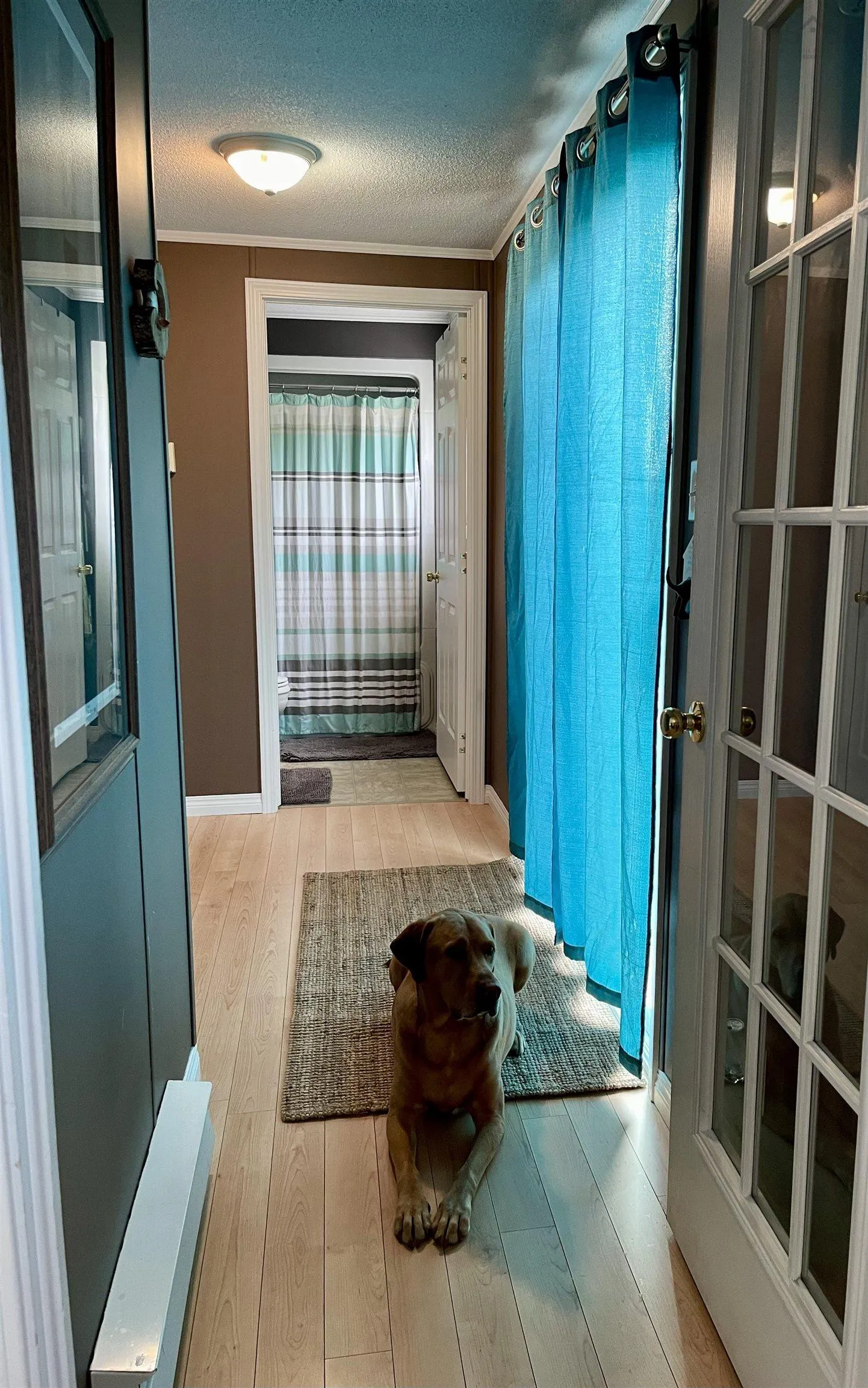 39 Johns Pass, Lower South River, NS B2G 0E7, 3 Bedrooms Bedrooms, ,2 BathroomsBathrooms,Residential,For Sale,Johns,202521870