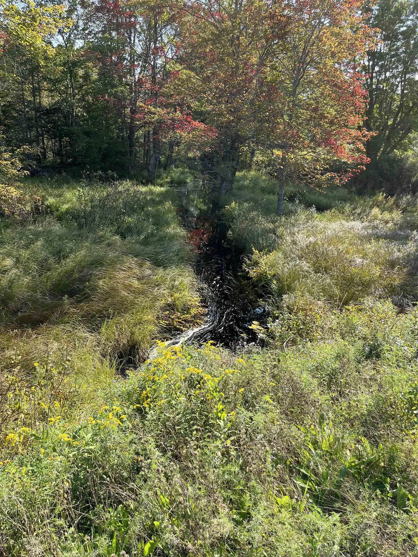 Highway 10, Dalhousie Ns V0r 1h0, ,Land,For Sale,Highway 10,202424474