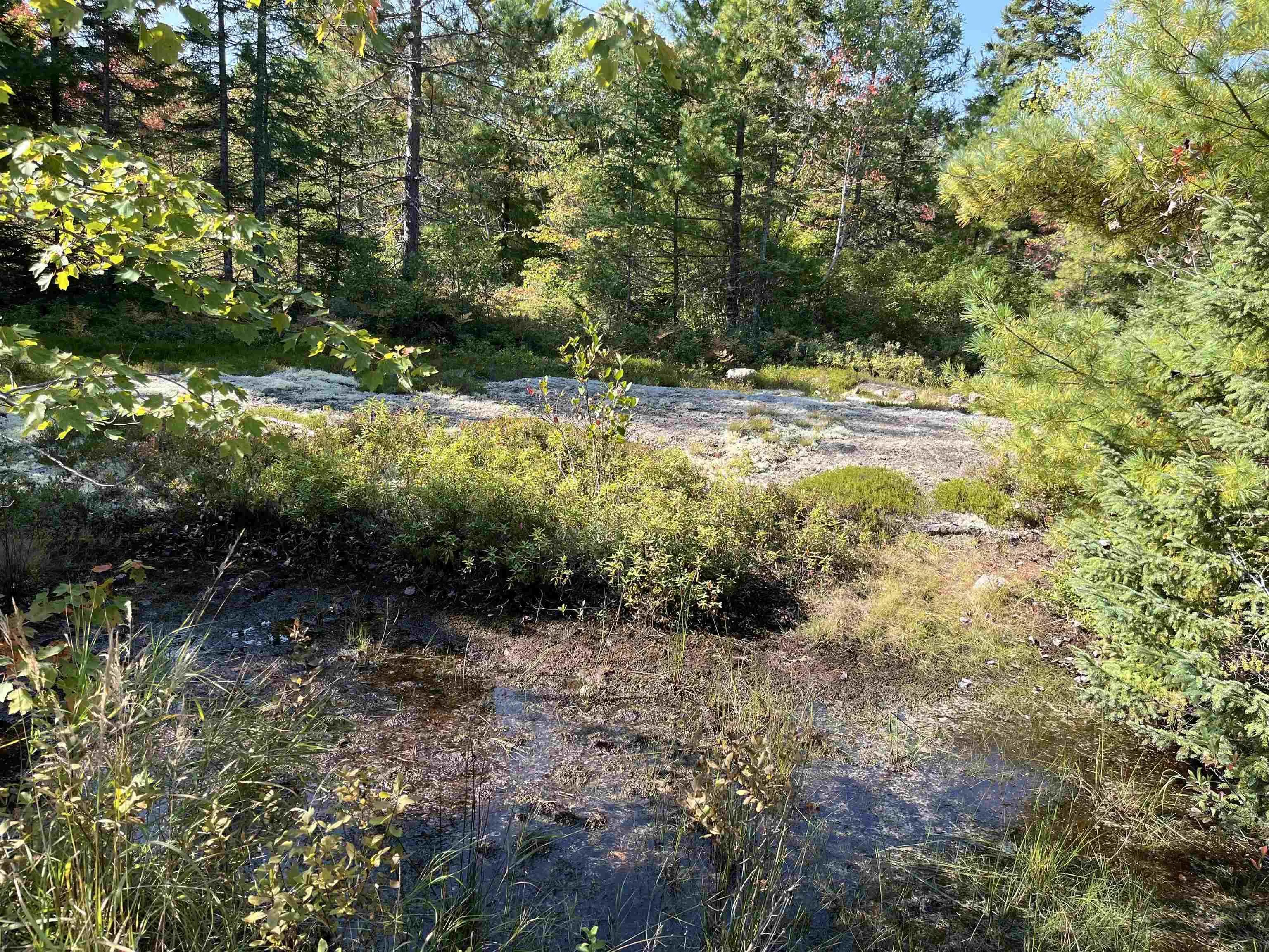 Highway 10, Dalhousie Ns V0r 1h0, ,Land,For Sale,Highway 10,202424474
