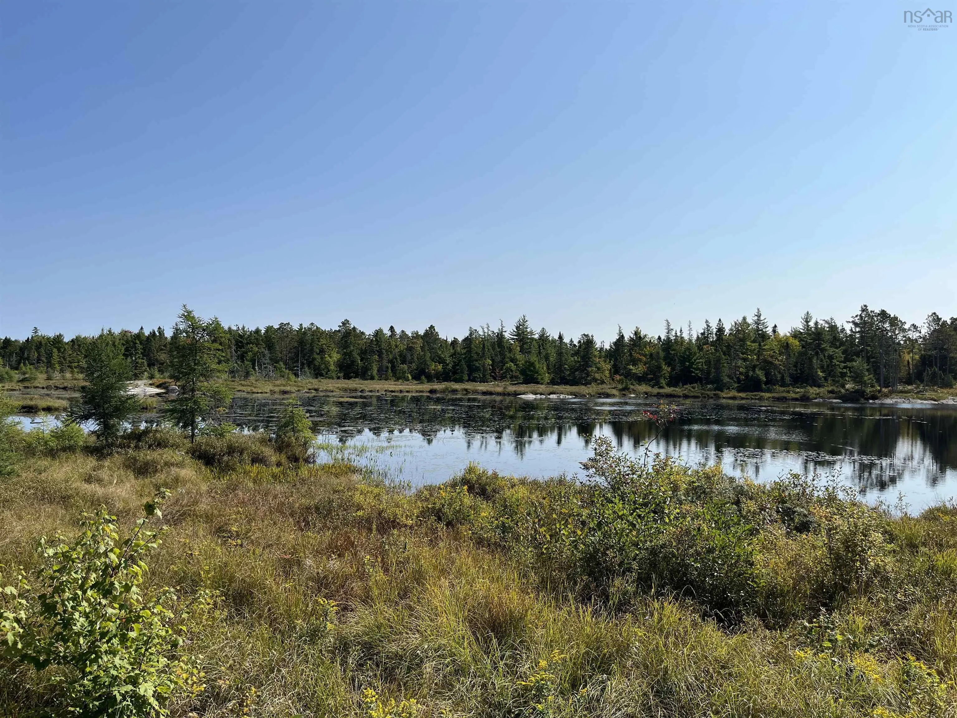 Highway 10, Dalhousie Ns V0r 1h0, ,Land,For Sale,Highway 10,202424474