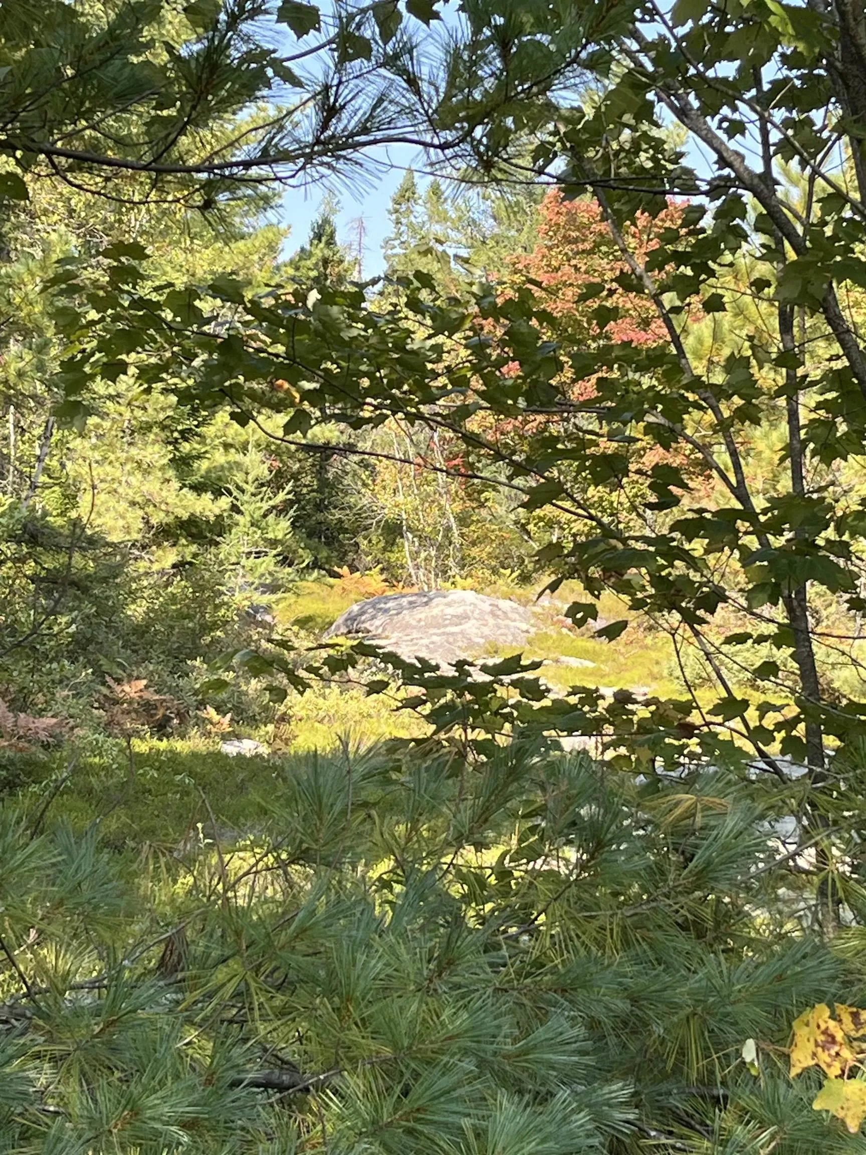 Highway 10, Dalhousie Ns V0r 1h0, ,Land,For Sale,Highway 10,202424474