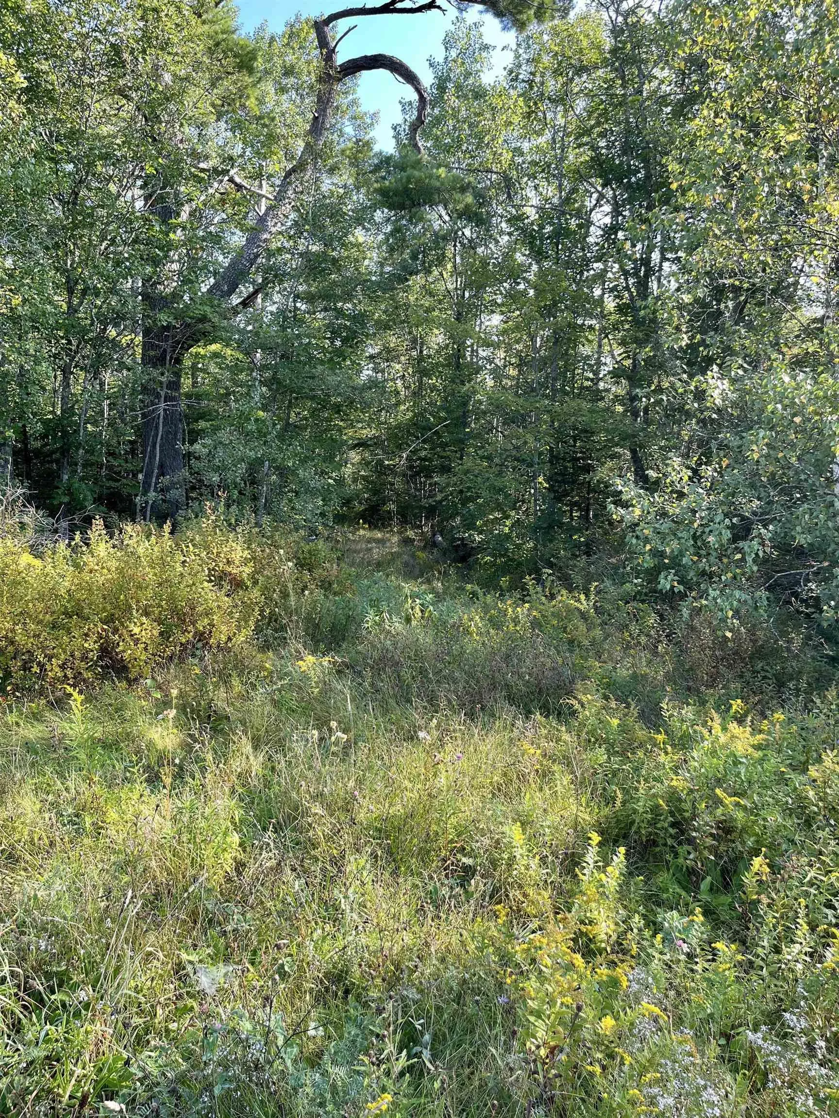 Highway 10, Dalhousie Ns V0r 1h0, ,Land,For Sale,Highway 10,202424474