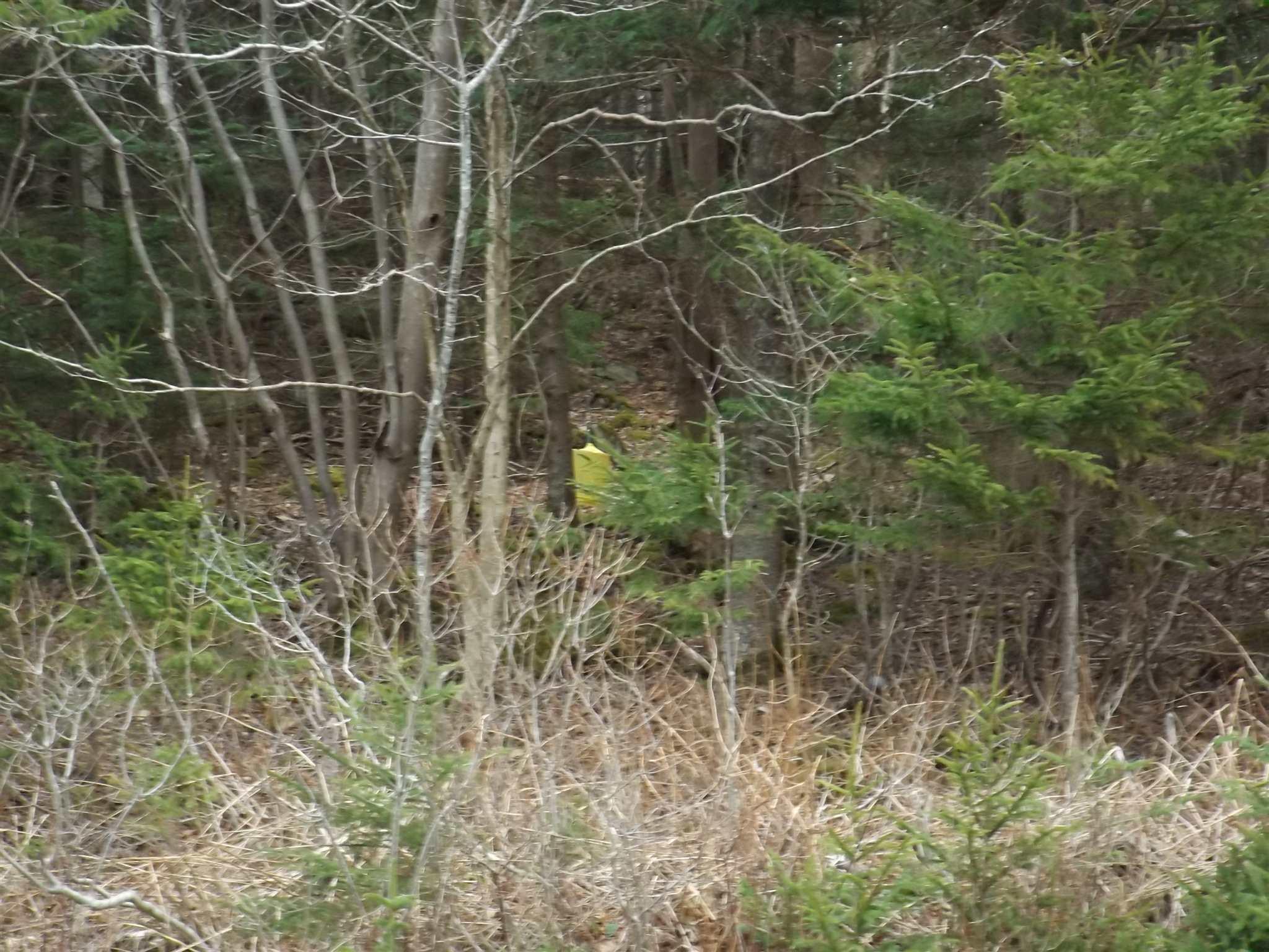 Roberts Island Road, Roberts Island NS B0W 1W0, ,Land,For Sale,Roberts Island Road,202223346
