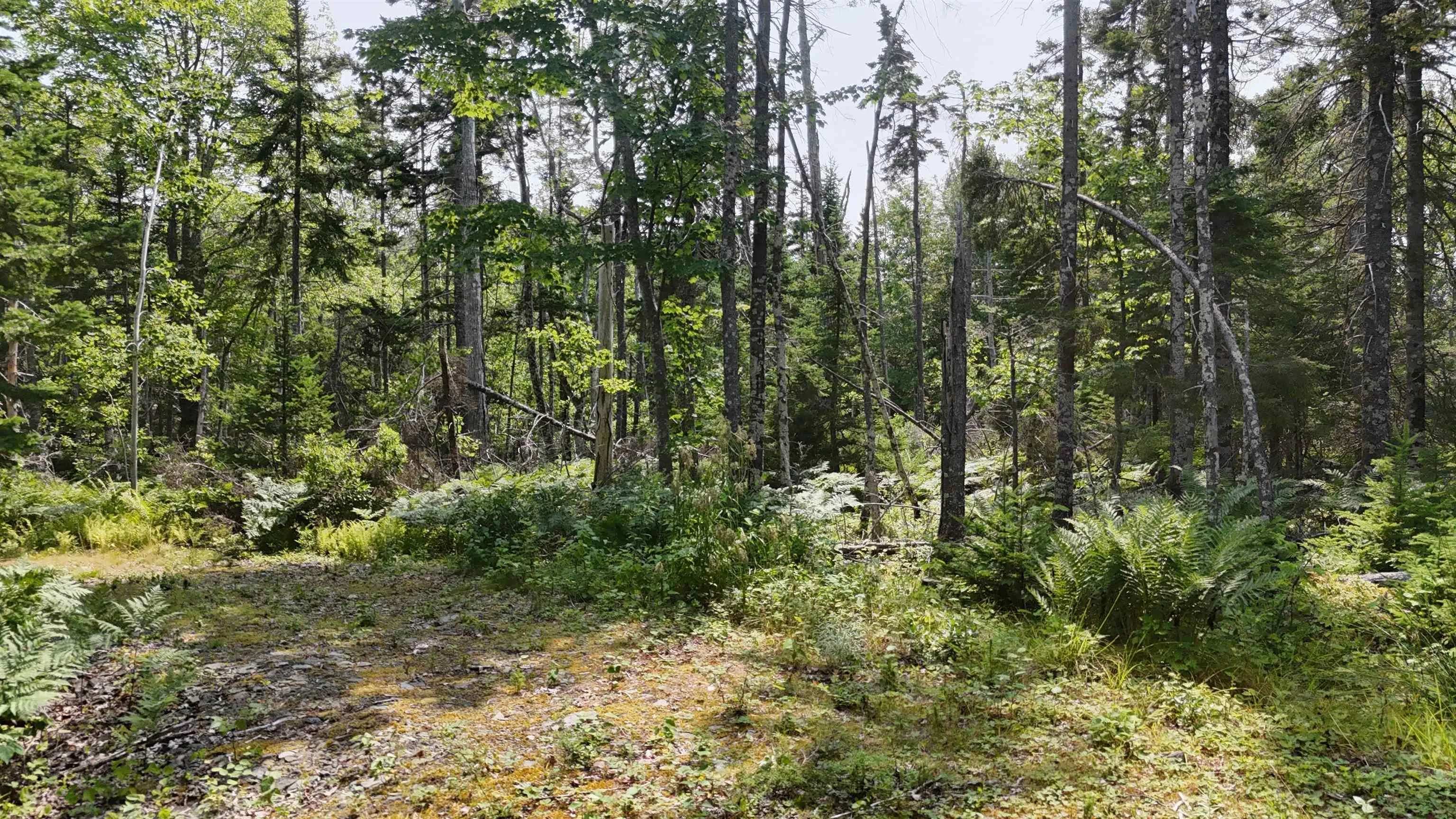 Lot 3 West Bay Highway, The Points West Bay, NS B0E 3K0, ,Land,For Sale,West Bay,202519562