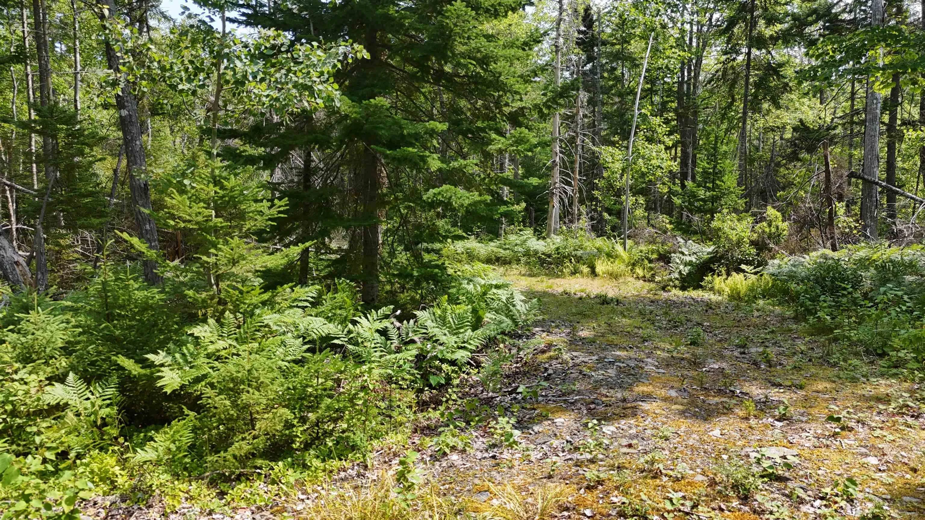 Lot 3 West Bay Highway, The Points West Bay, NS B0E 3K0, ,Land,For Sale,West Bay,202519562