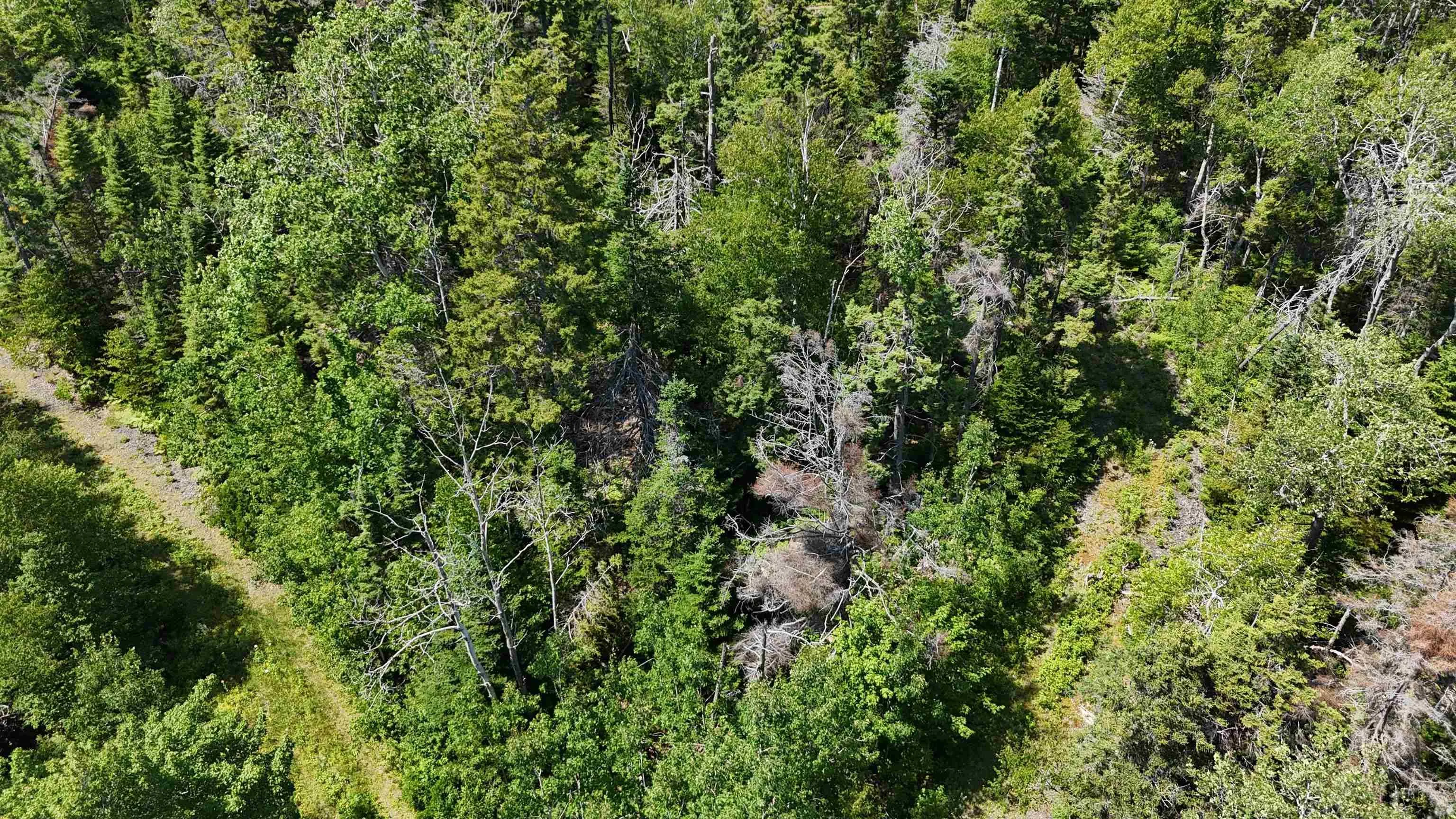 Lot 3 West Bay Highway, The Points West Bay, NS B0E 3K0, ,Land,For Sale,West Bay,202519562