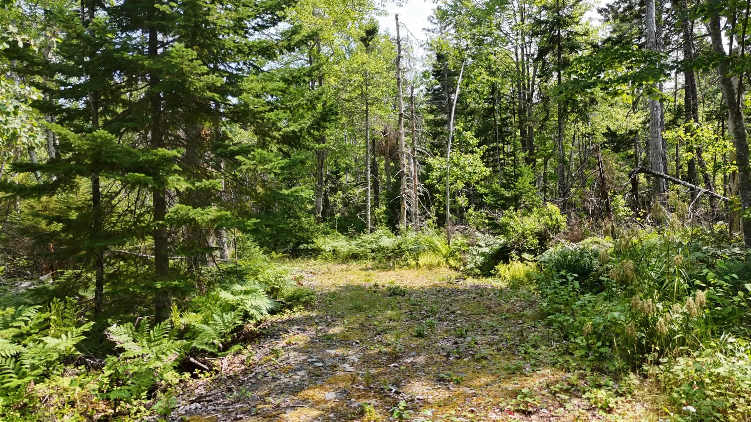 Lot 3 West Bay Highway, The Points West Bay, NS B0E 3K0, ,Land,For Sale,West Bay,202519562