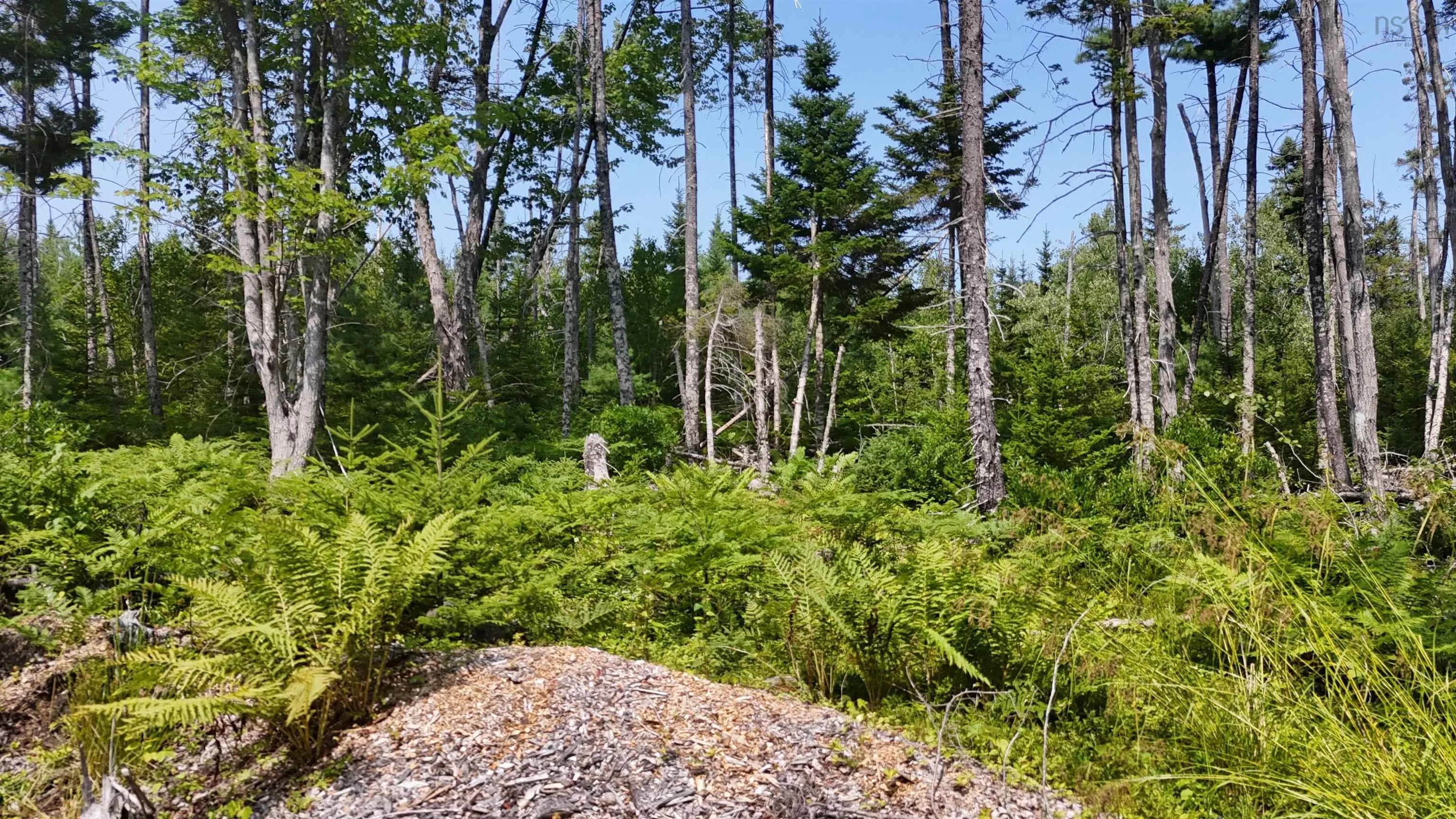 Lot 3 West Bay Highway, The Points West Bay, NS B0E 3K0, ,Land,For Sale,West Bay,202519562
