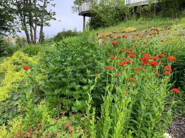 45 Southwest Cove Road, Northwest Cove, NS B0J 1T0, 3 Bedrooms Bedrooms, ,4 BathroomsBathrooms,Residential,For Sale,Southwest Cove,202519981