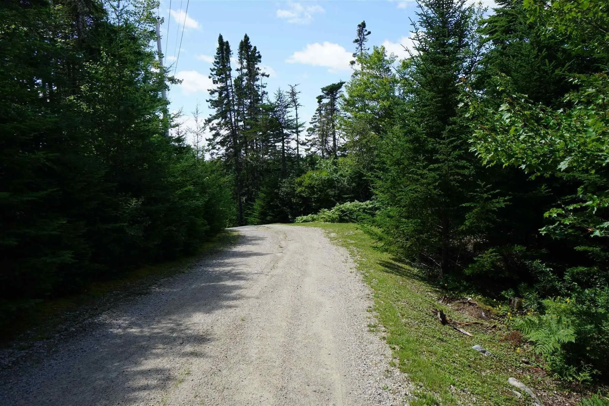 45 Southwest Cove Road, Northwest Cove, NS B0J 1T0, 3 Bedrooms Bedrooms, ,4 BathroomsBathrooms,Residential,For Sale,Southwest Cove,202519981
