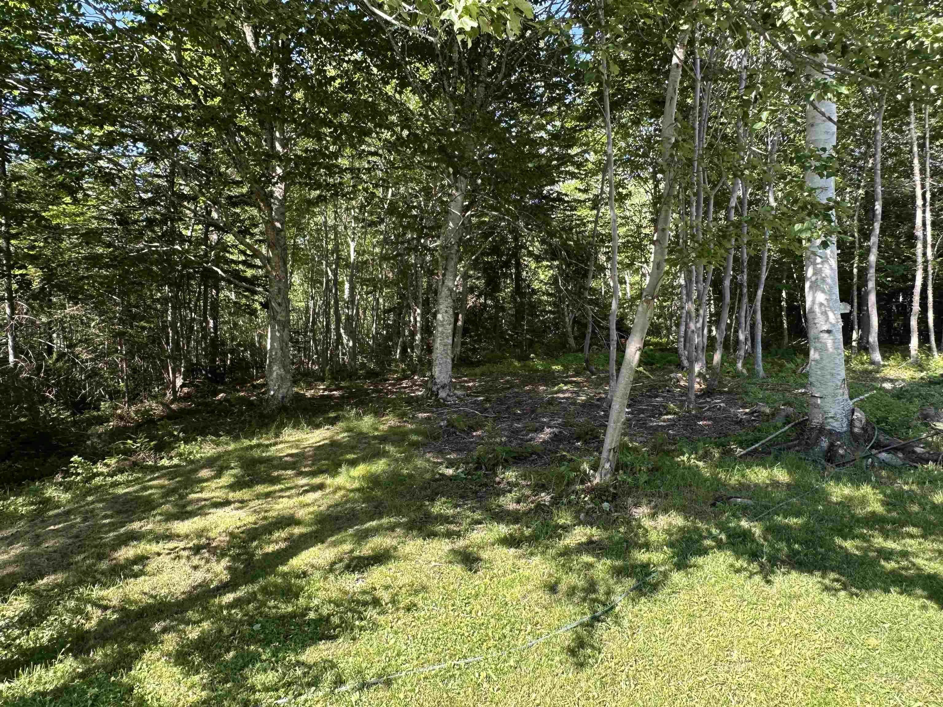 1458 Grand Mira South Road, Grand Mira South, NS B1K 1H2, 2 Bedrooms Bedrooms, ,1 BathroomBathrooms,Residential,For Sale,Grand Mira South,202517465