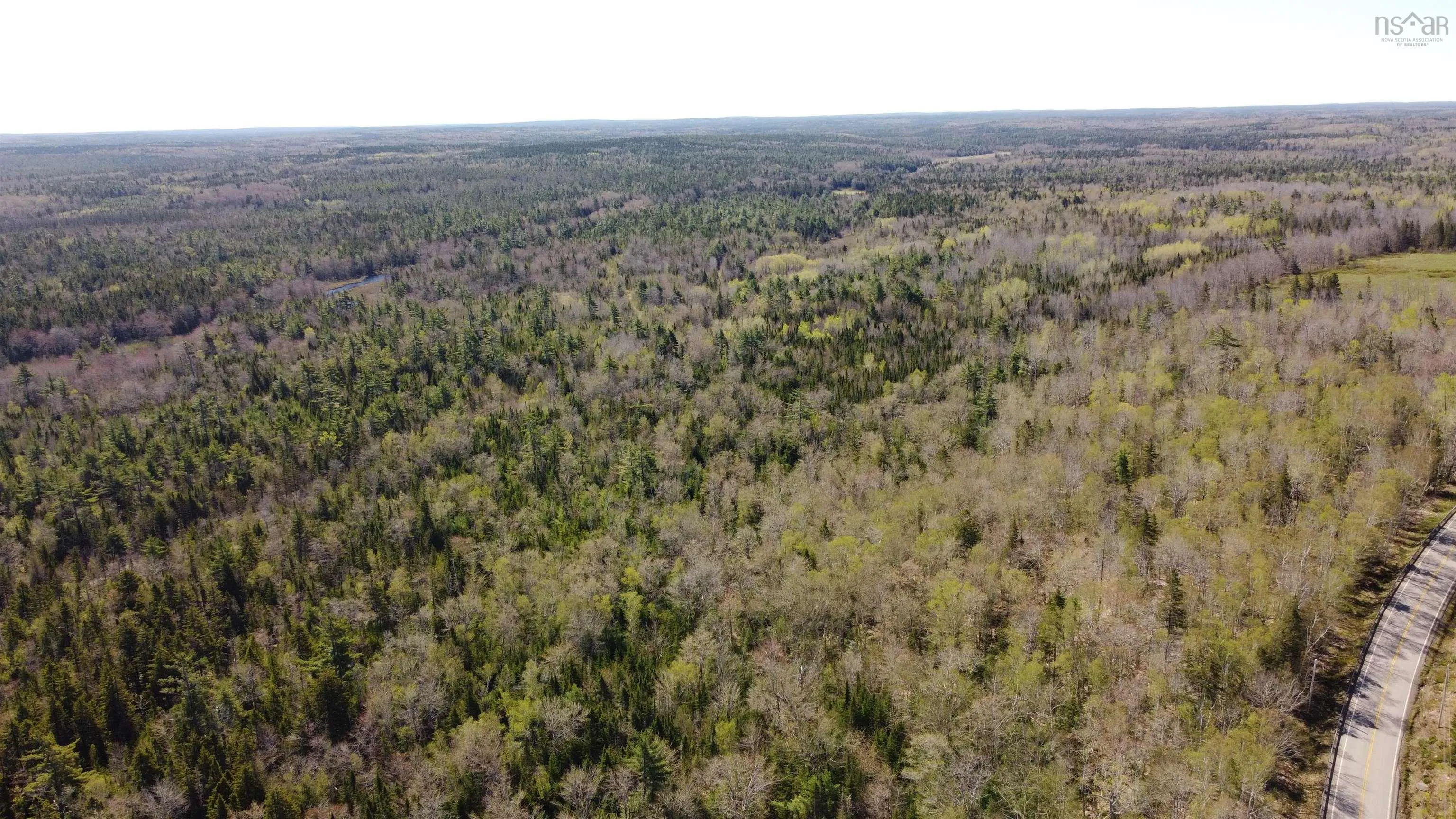 Highway 10 Lot 3, Albany, NS B0S 1P0, ,Land,For Sale,Highway 10,202512140