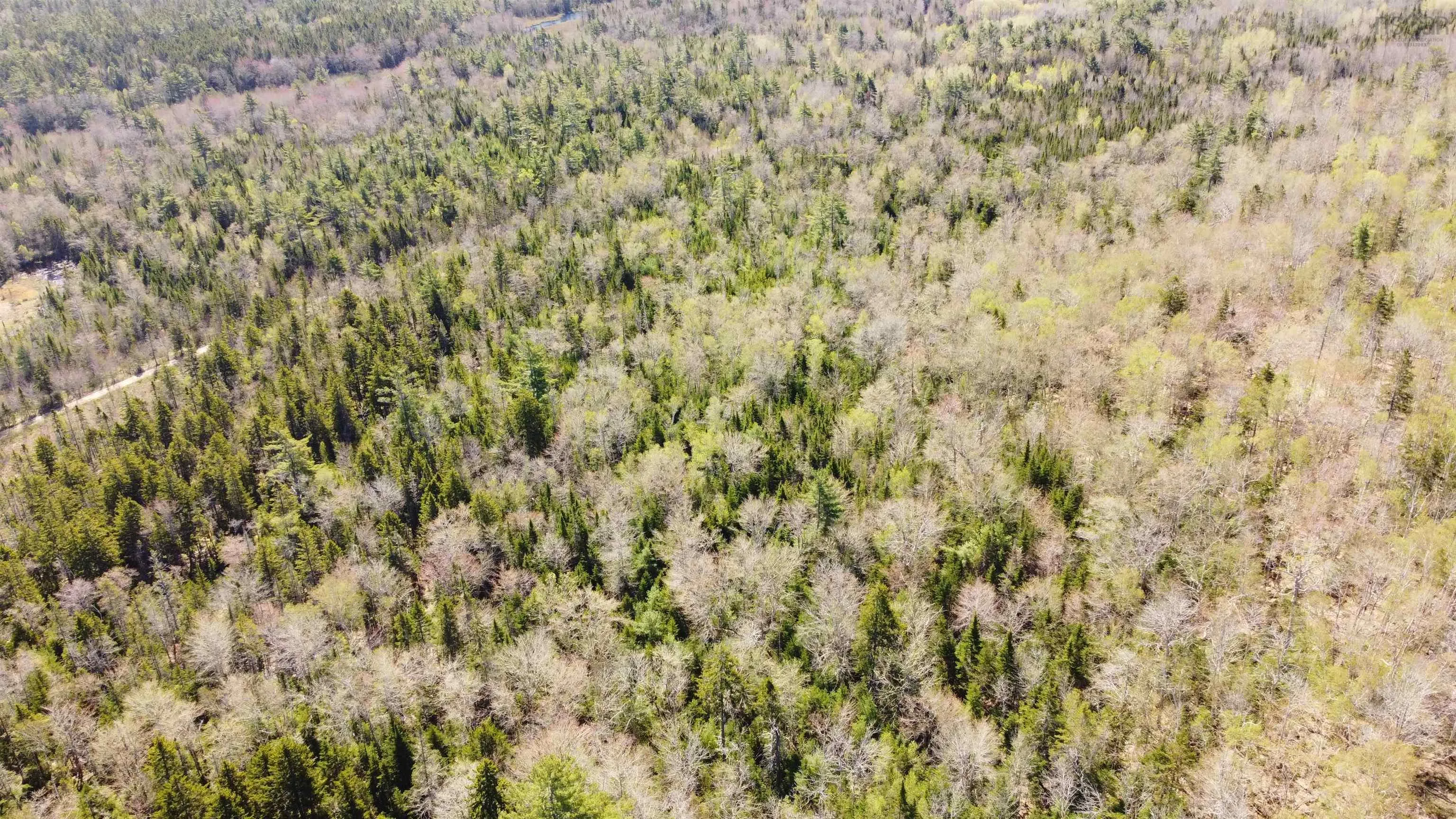 Highway 10 Lot 3, Albany, NS B0S 1P0, ,Land,For Sale,Highway 10,202512140