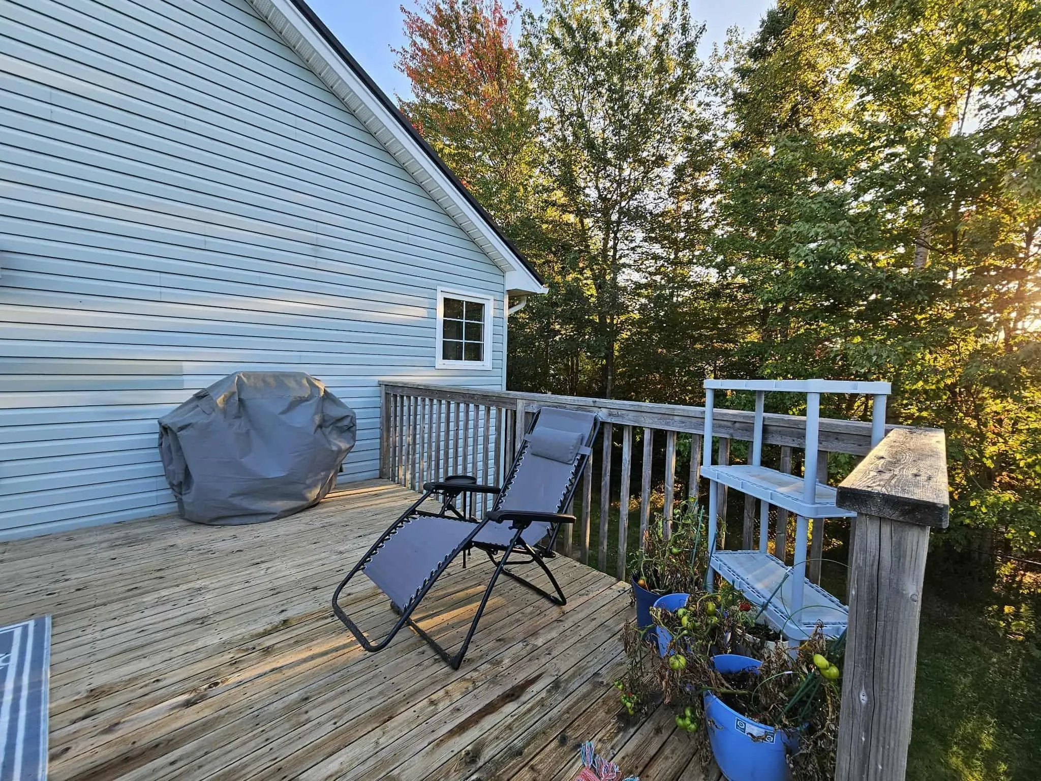 119 Sandy Place, Valley, NS B6L 4G4, 5 Bedrooms Bedrooms, ,3 BathroomsBathrooms,Residential,For Sale,Sandy,202523561