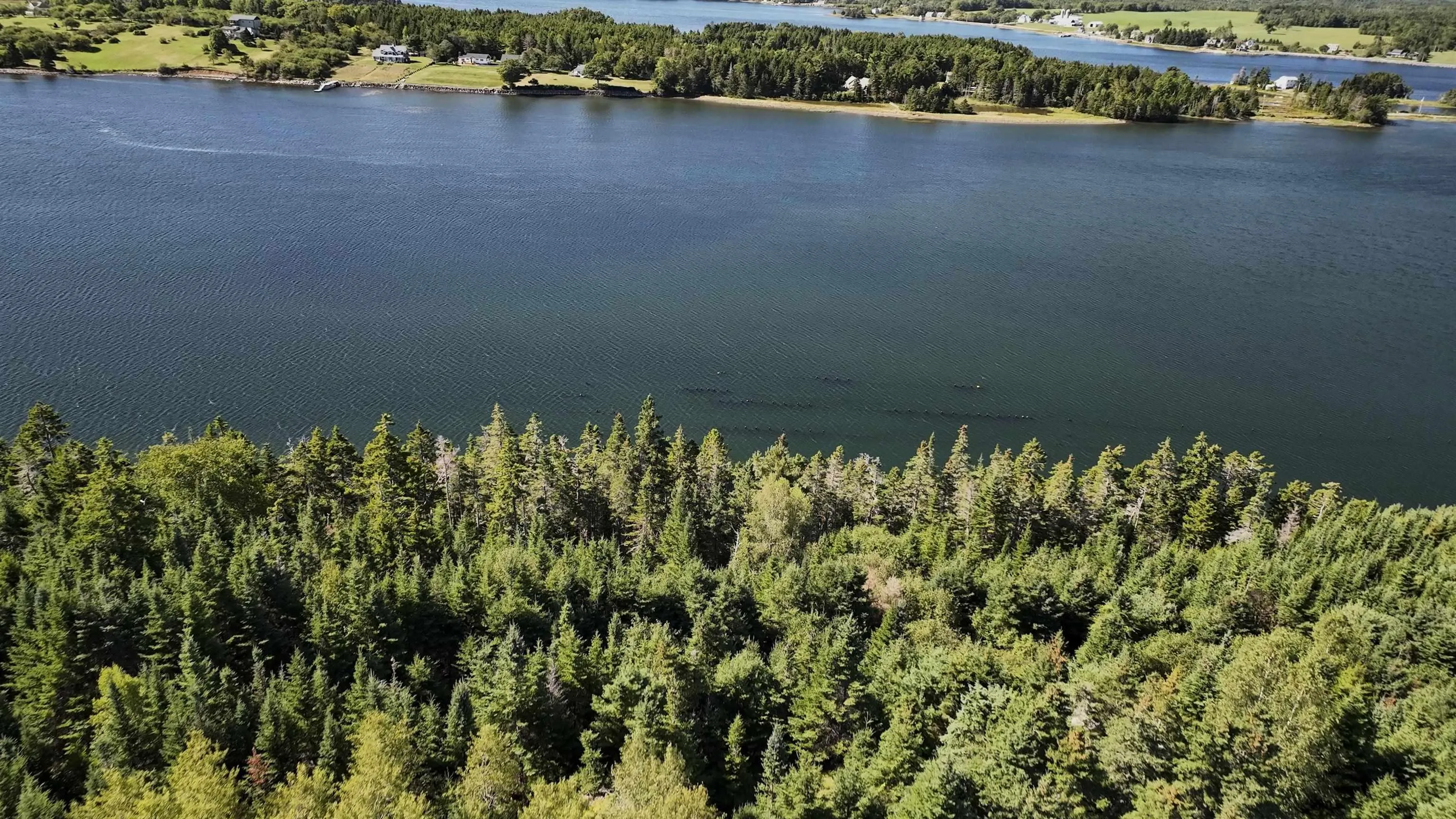 Masons Beach Road Lot 3n, First South, NS B0J 2C0, ,Land,For Sale,Masons Beach,202523310