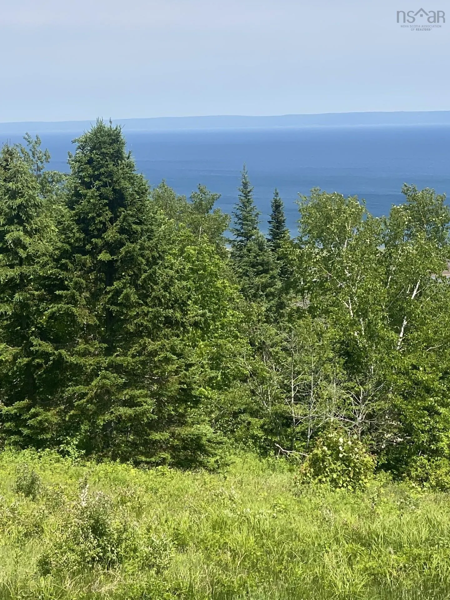 2601 Highway 337 Antigonish Harbour, N.s., Antigonish Harbour Ns B2g 2l2, 2 Bedrooms Bedrooms, ,1 BathroomBathrooms,Residential,For Sale,Highway 337 Antigonish Harbour, N.S.,202414449